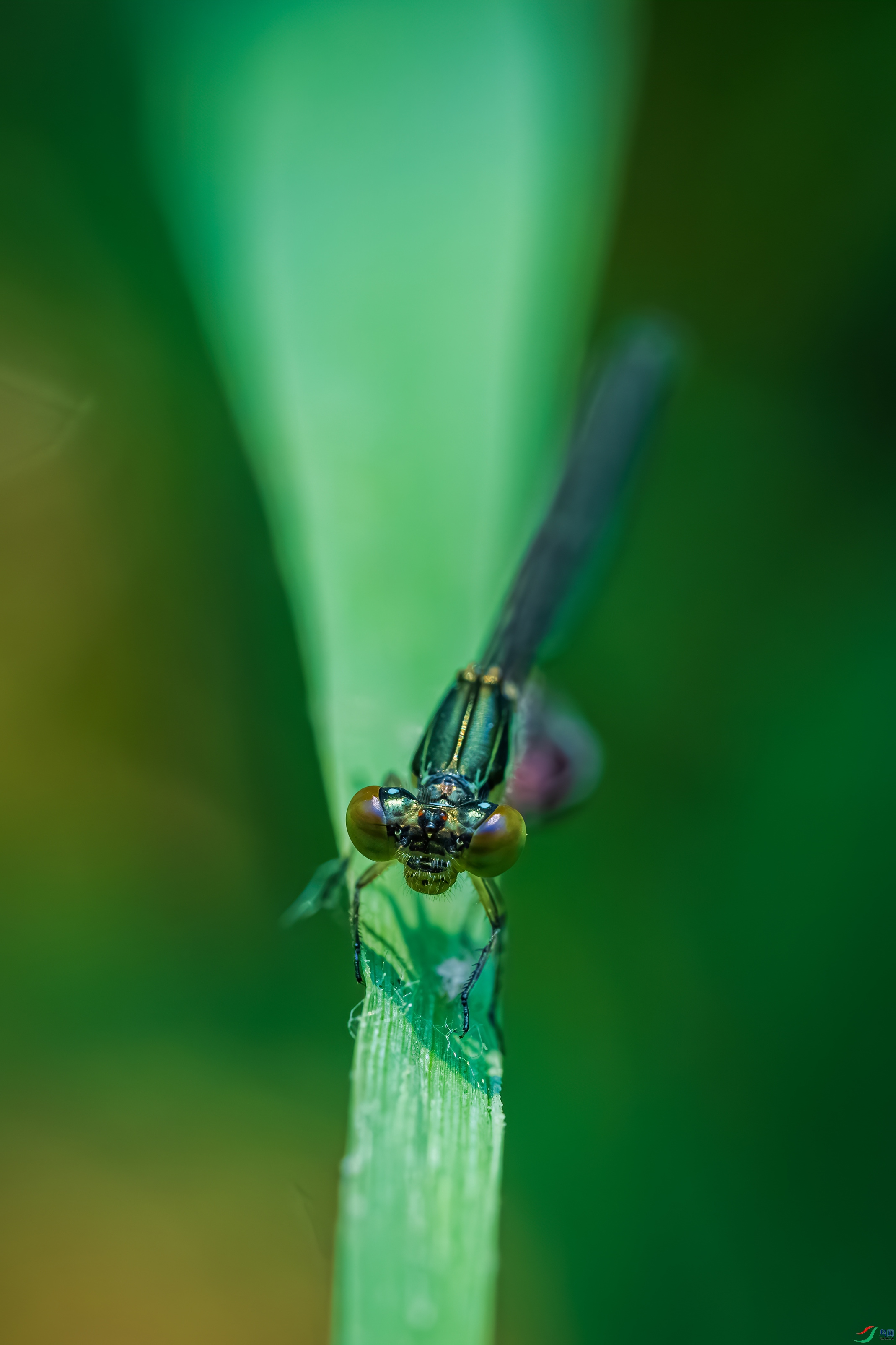 DSC03493_����.jpg