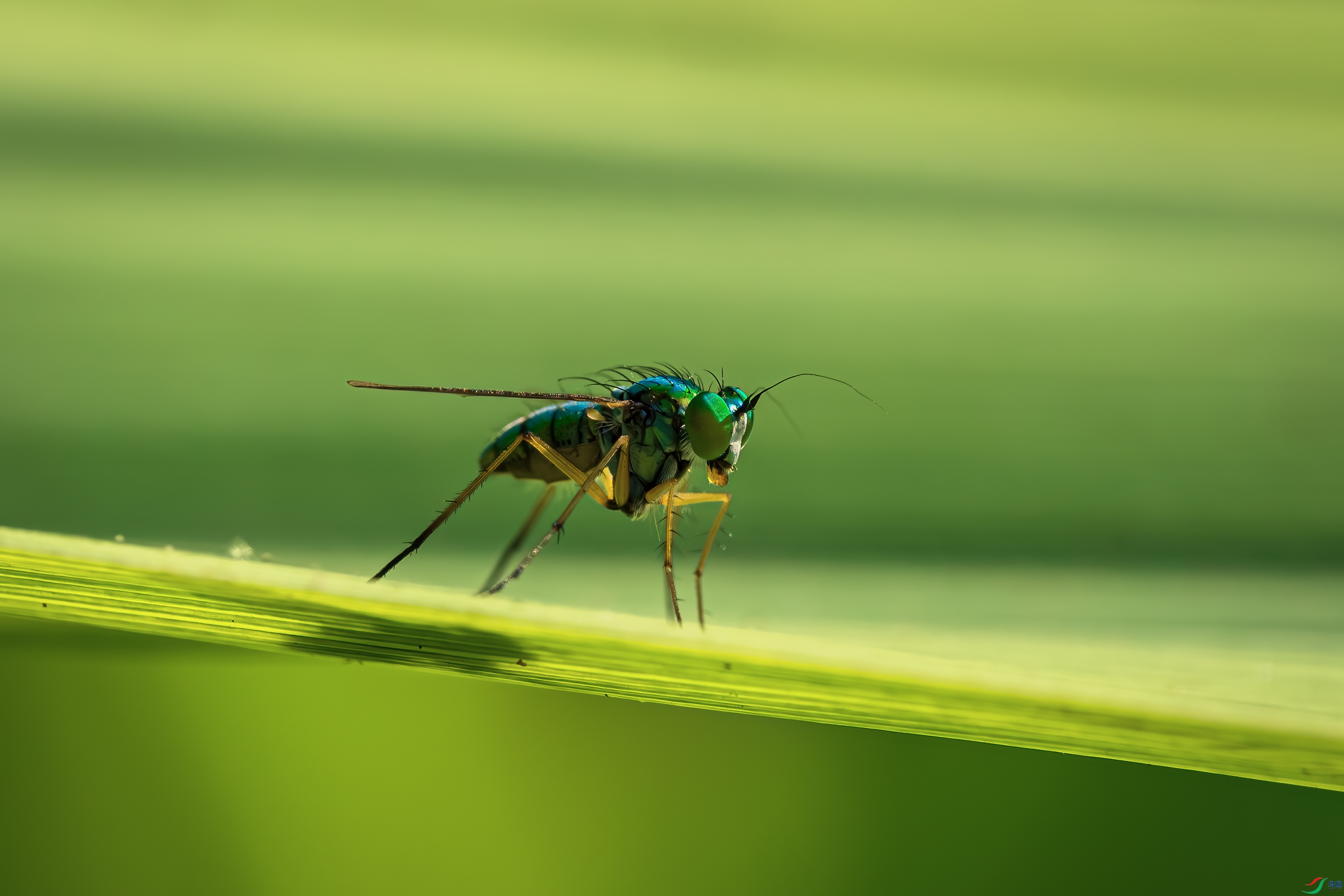 DSC03827_����.jpg