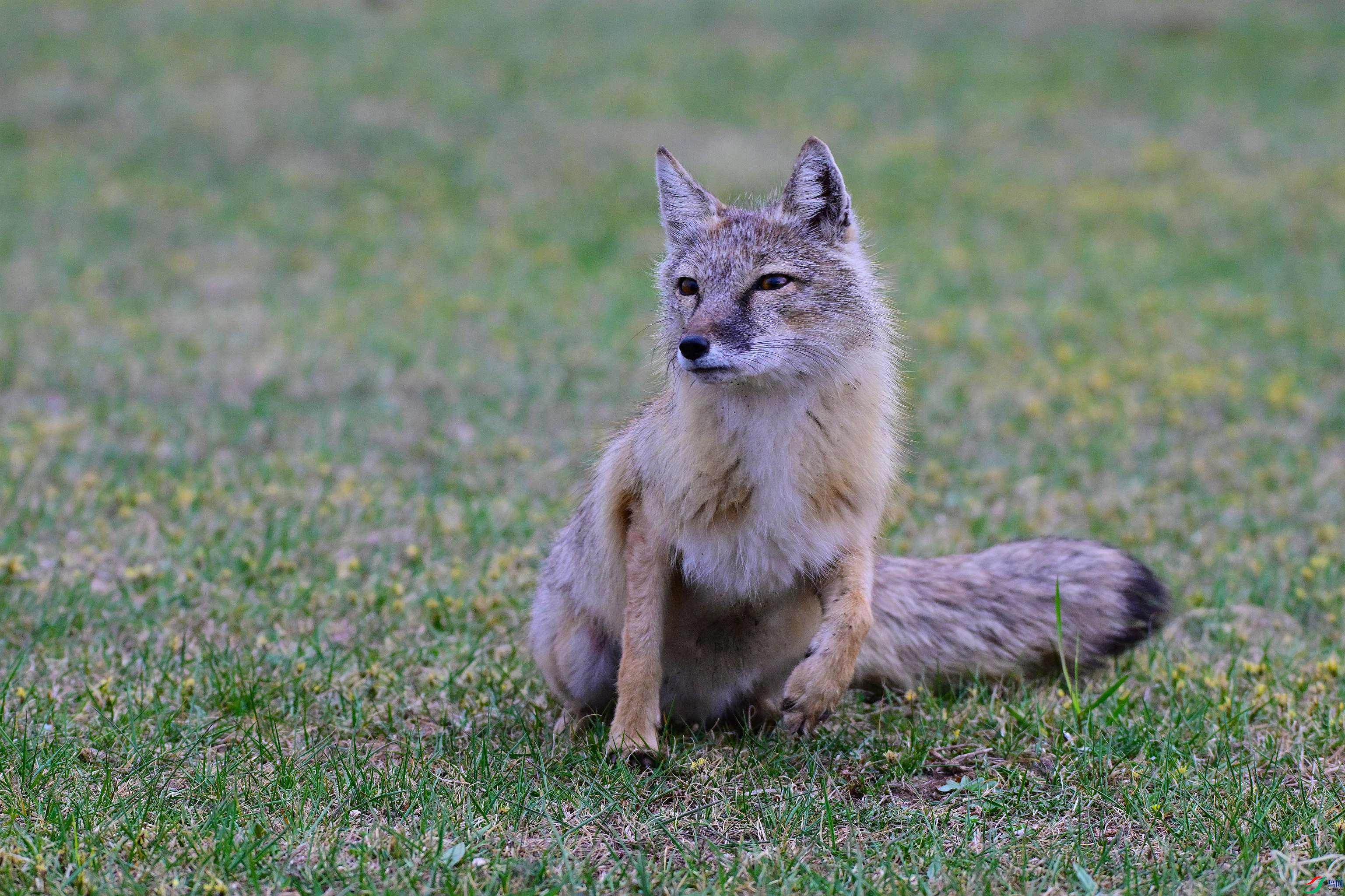 DSC_1838.JPG