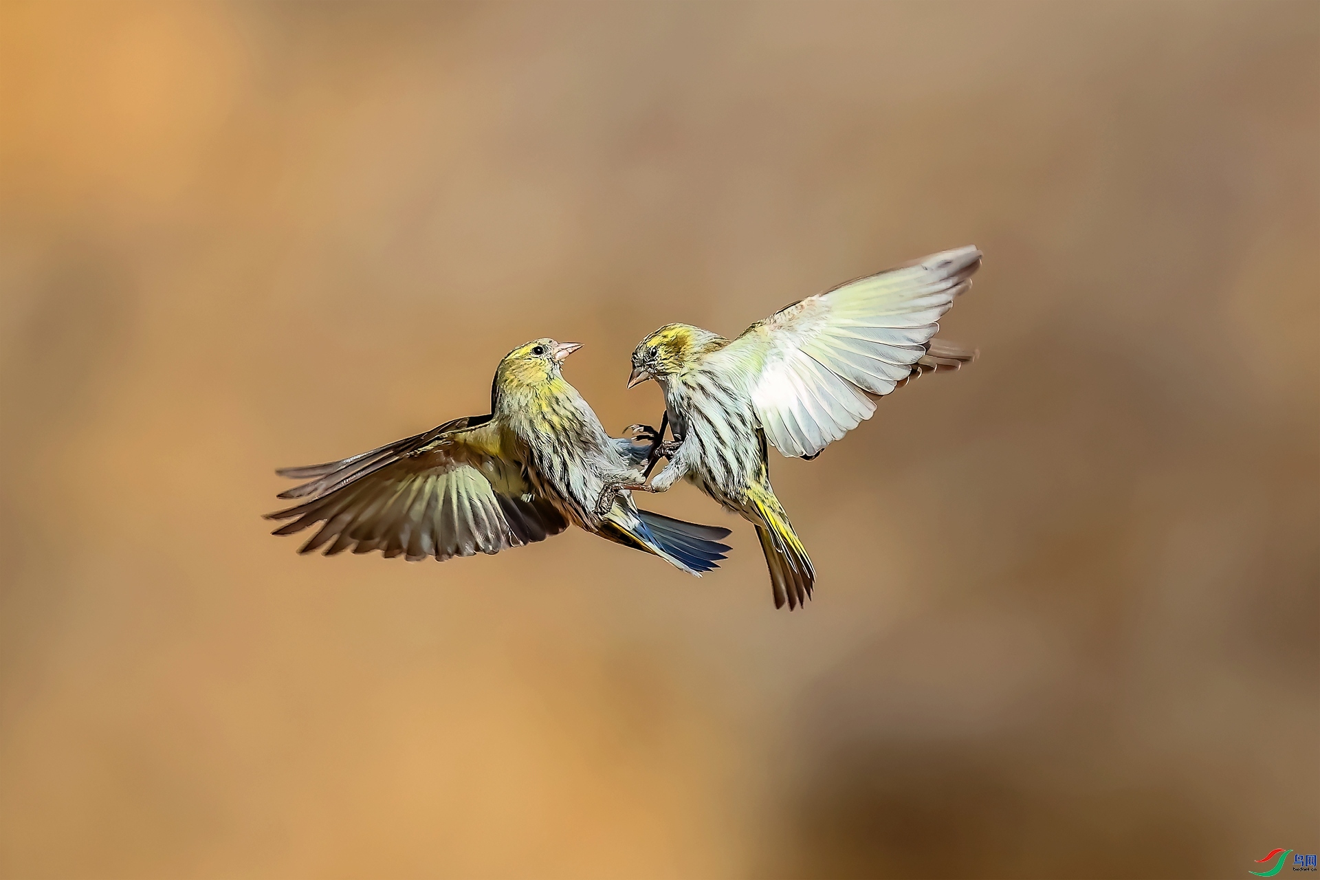 6.8���Ŀ�����ʦ��Ʒ   �����Ժͣ�ף���ٻ����������.jpg