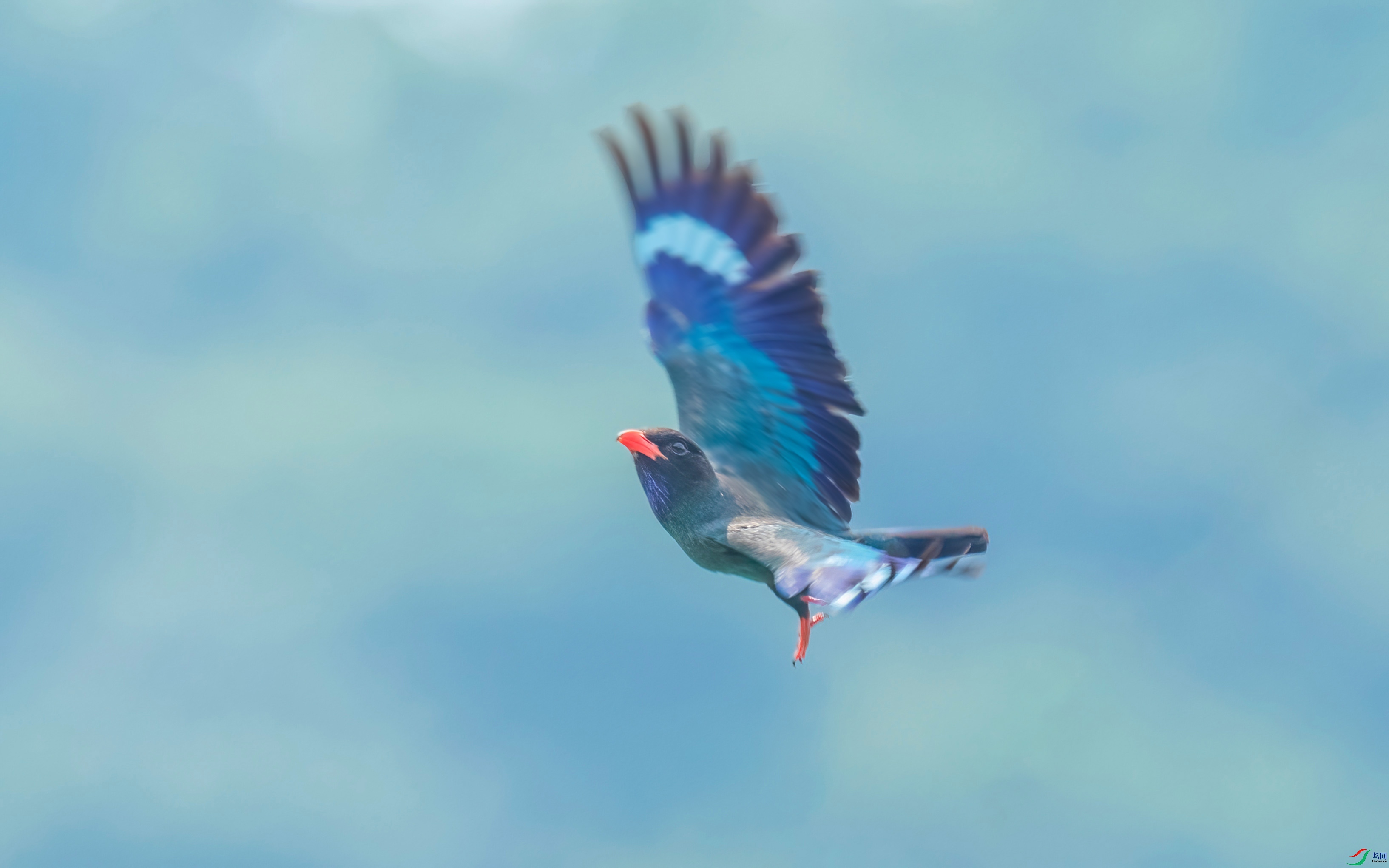 278-��������-DeNoiseAI-standard.jpg1.jpg
