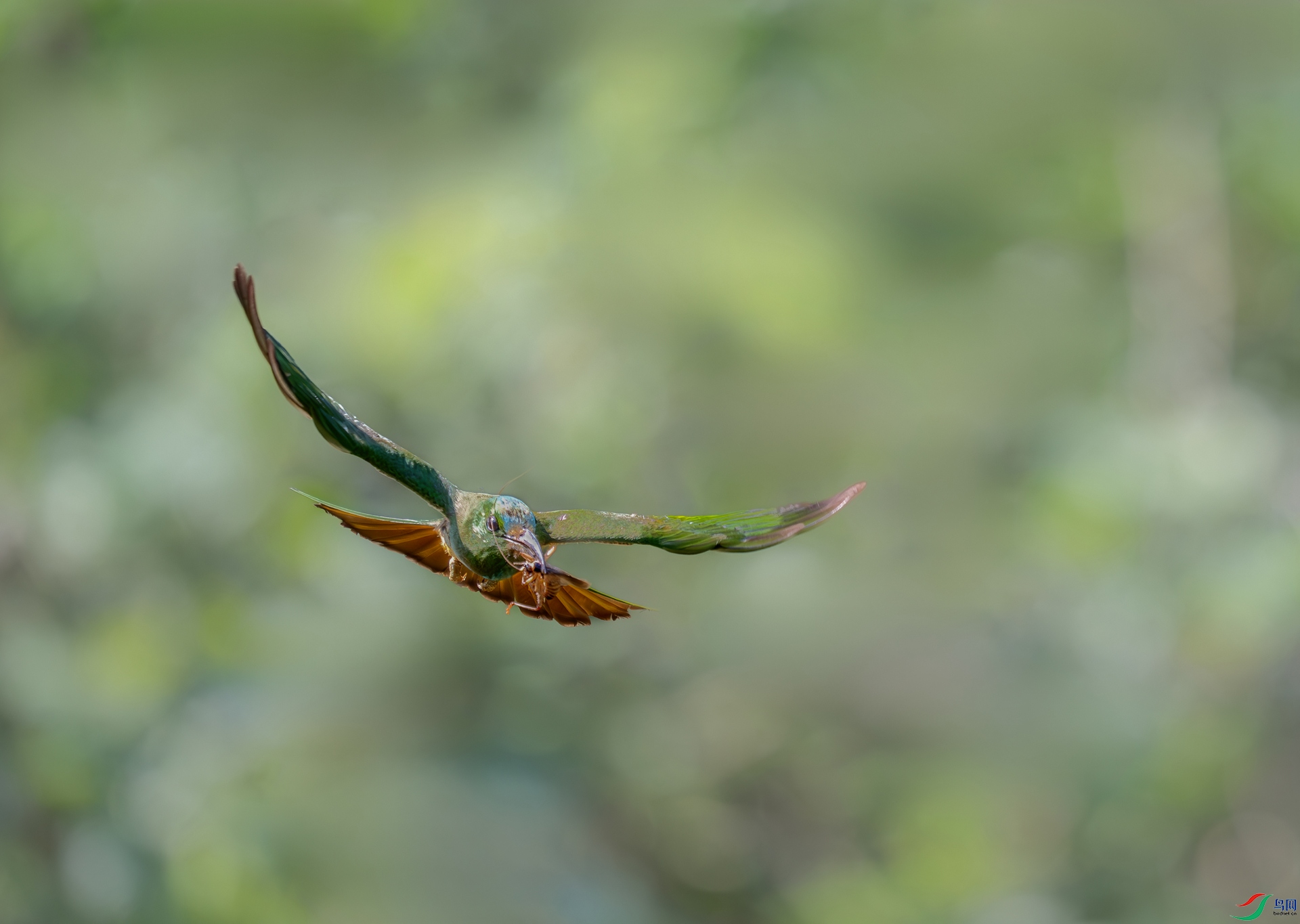 DSC_4537-1.jpg
