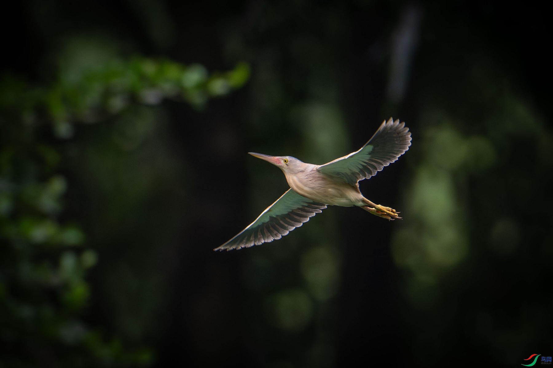 DSC_5865_����.jpg