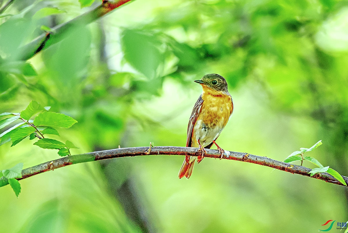 DSC_2628.jpg