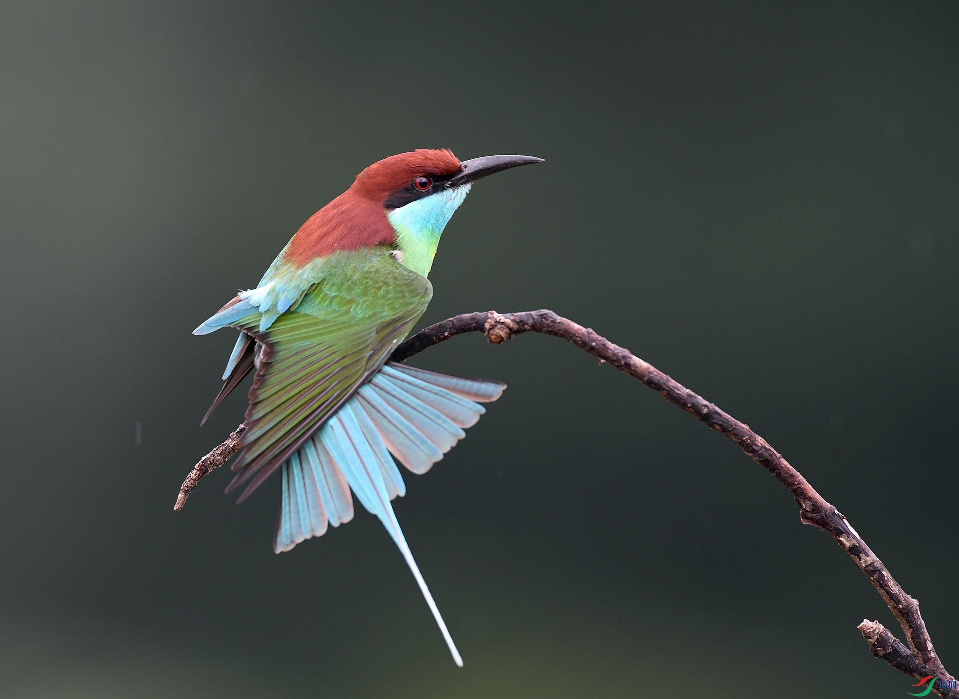 DSC_7641.jpg