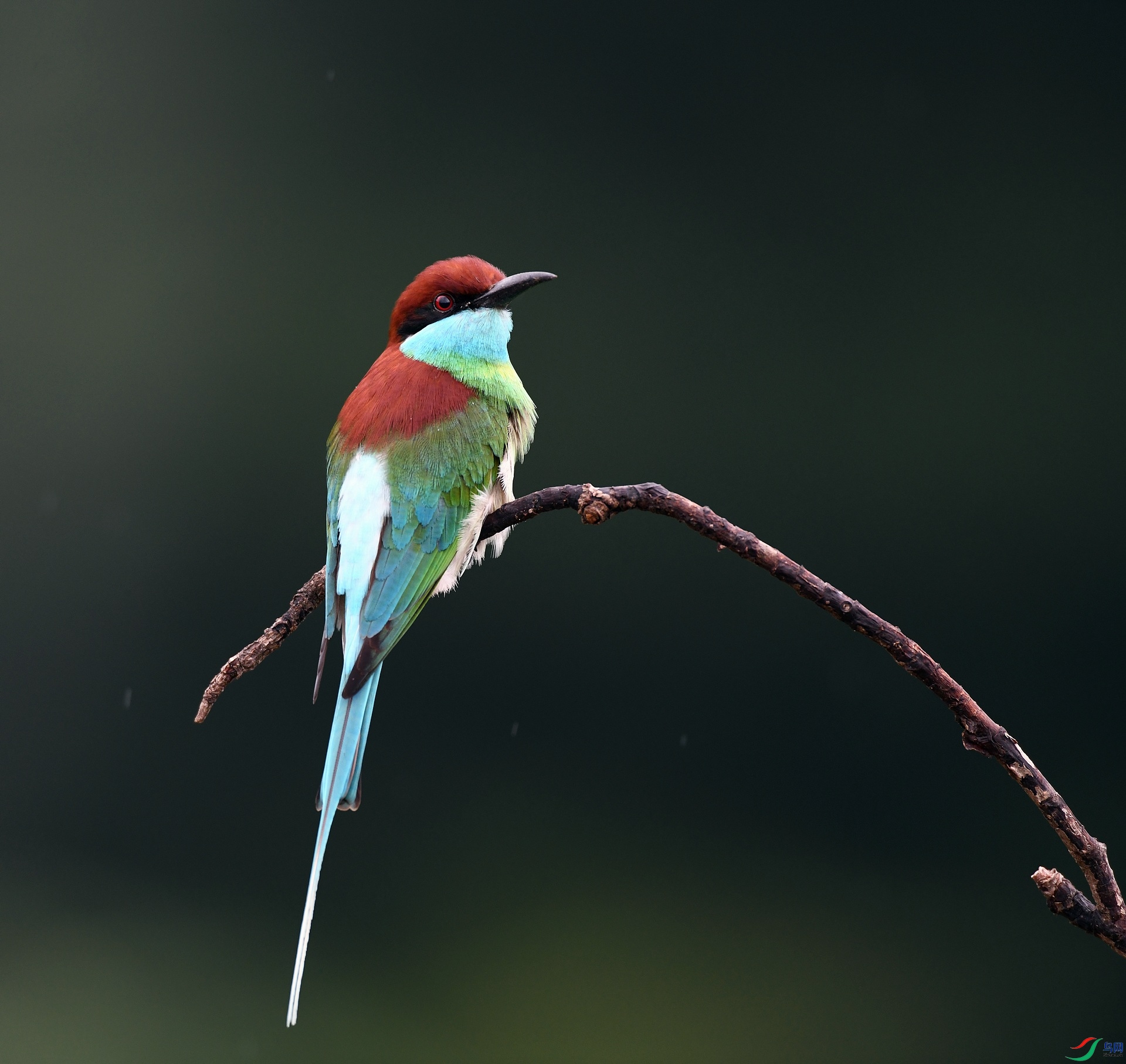 DSC_7631.jpg