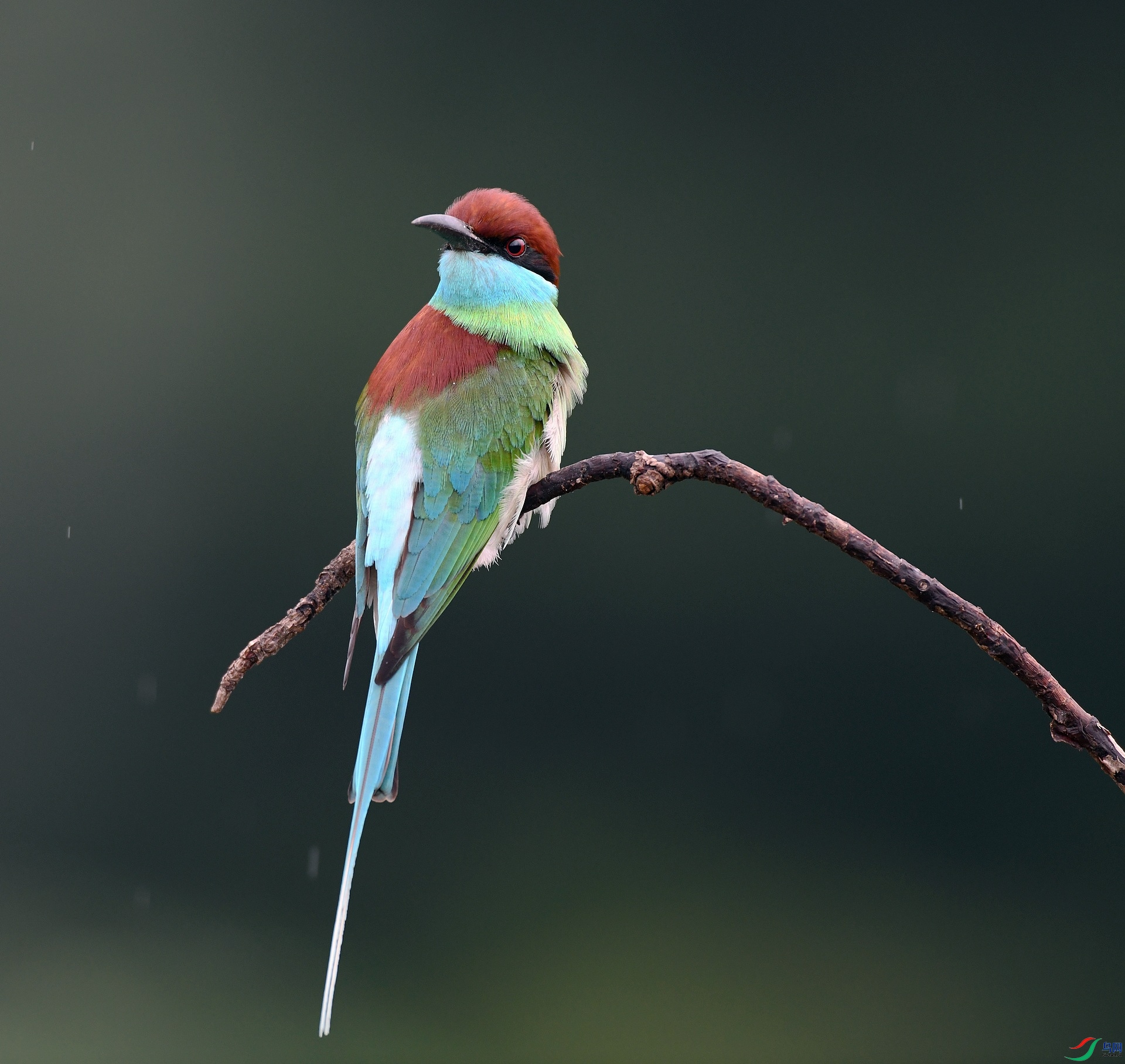 DSC_7629.jpg