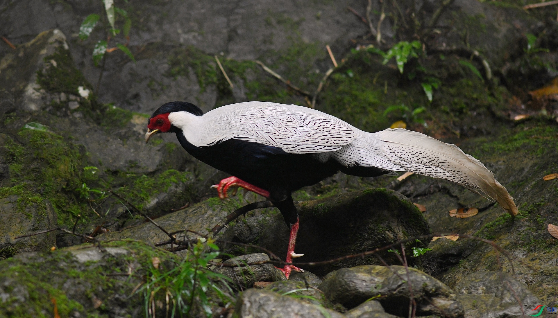 DSC_7114.jpg