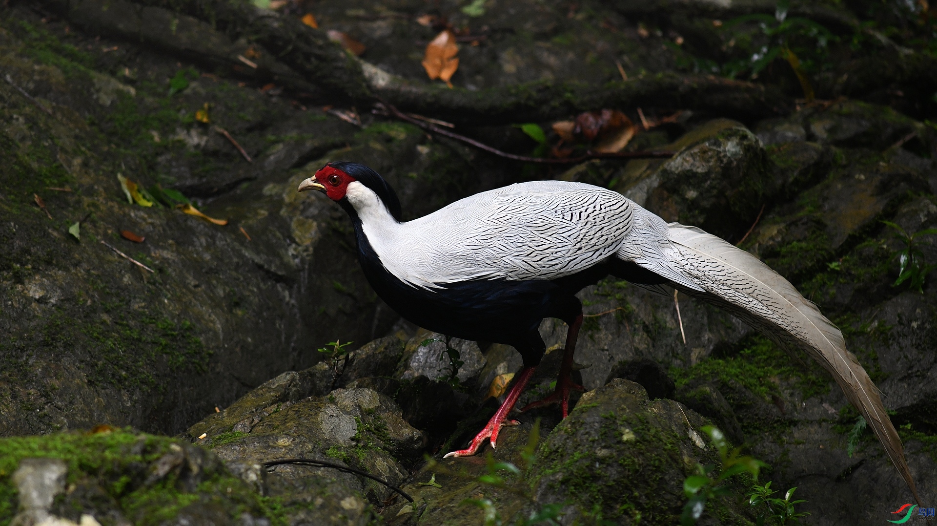 DSC_7122.jpg