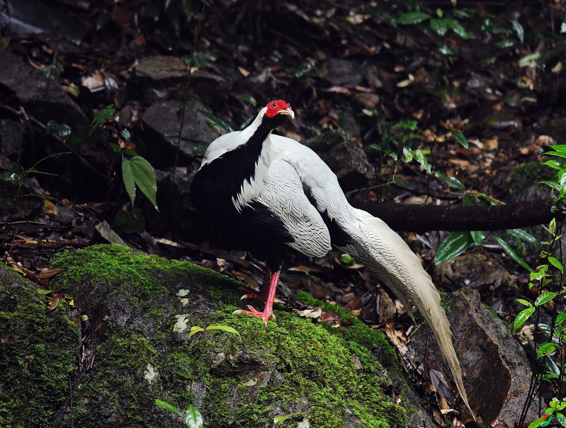 DSC_7364.jpg