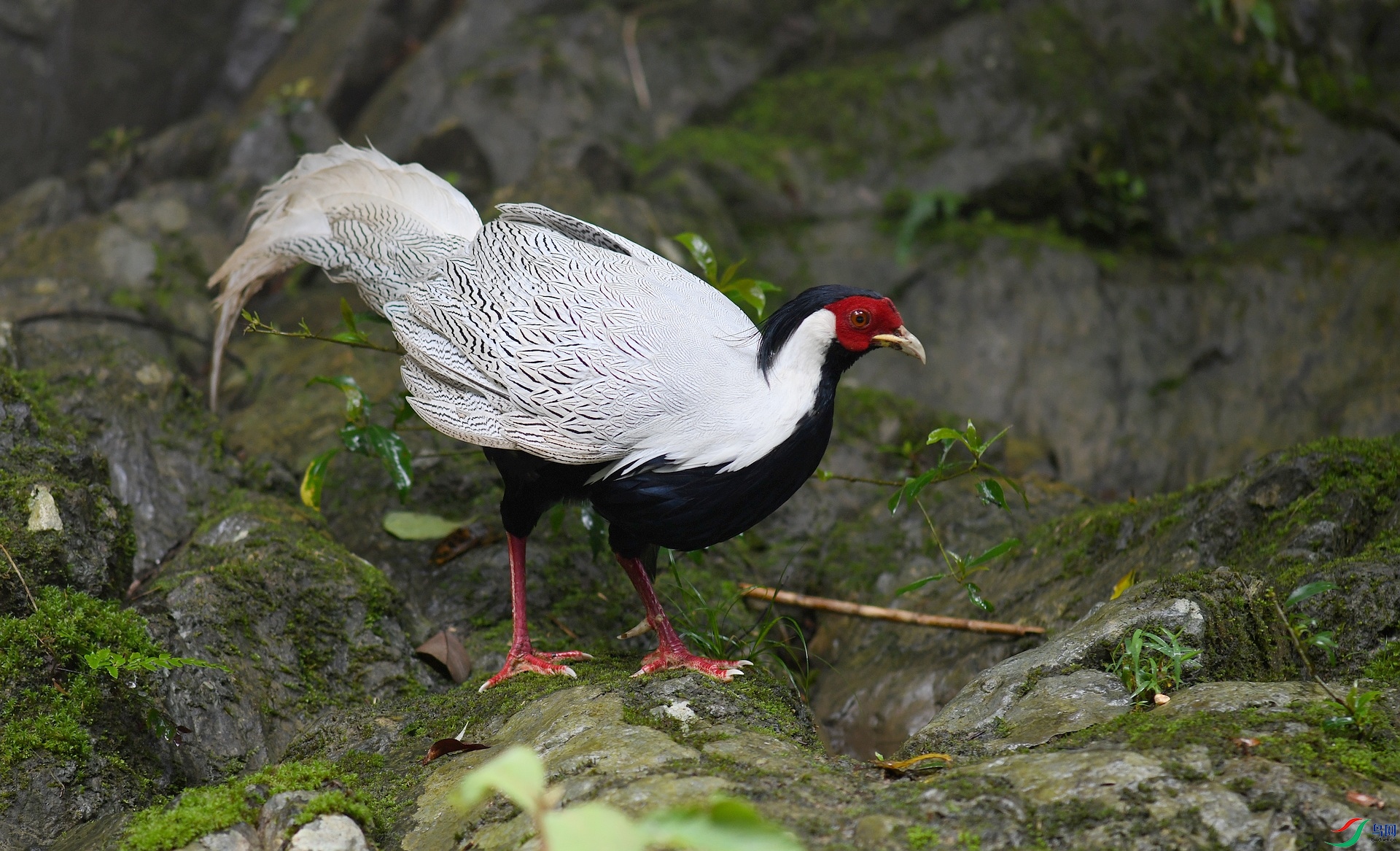 DSC_7034.jpg