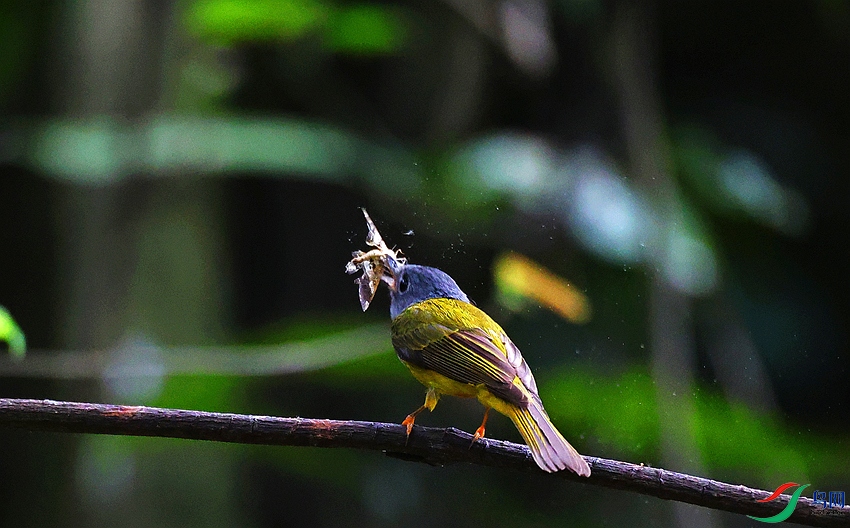 4X7A8515_����.jpg