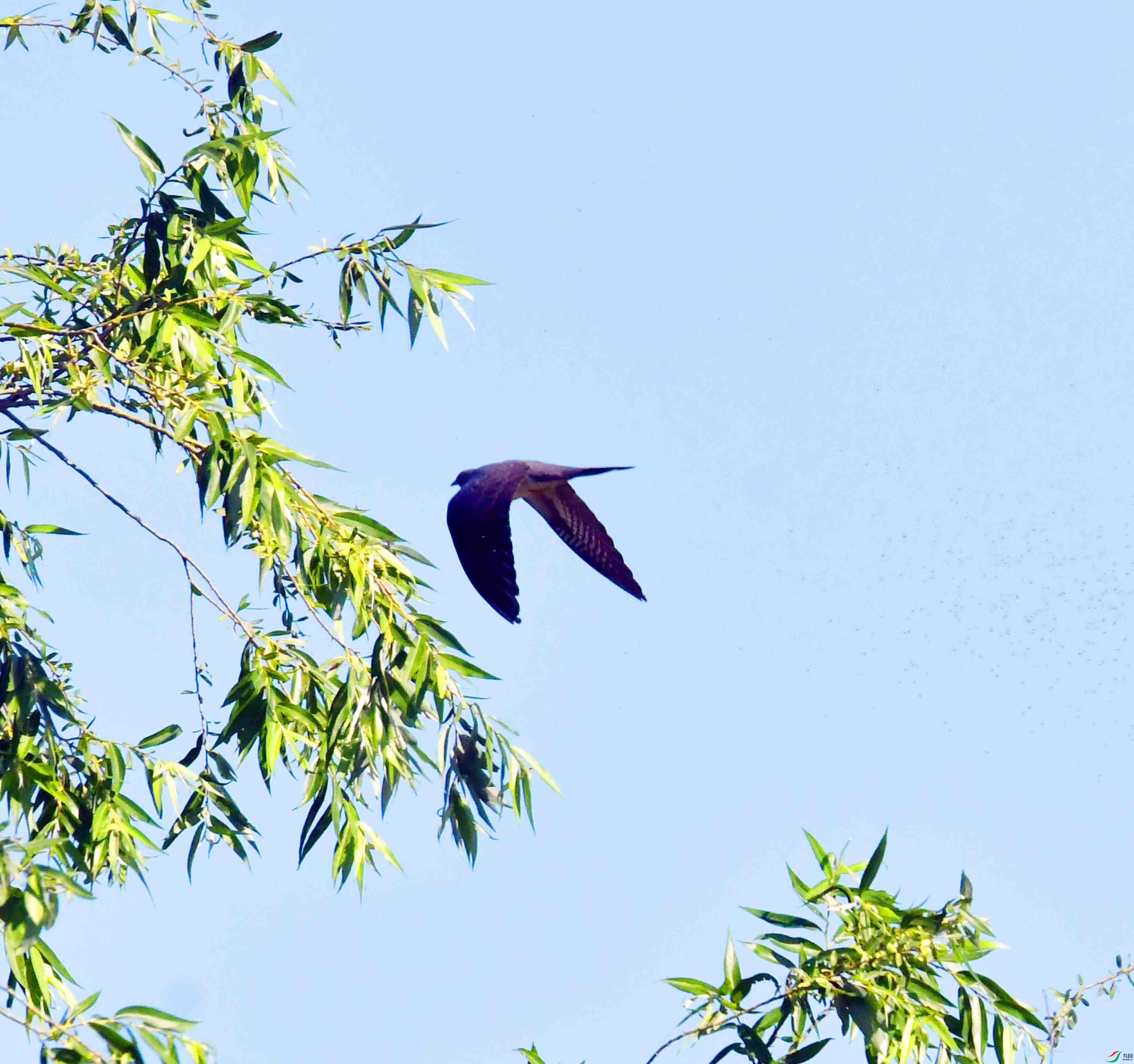 DSC_5884.JPG