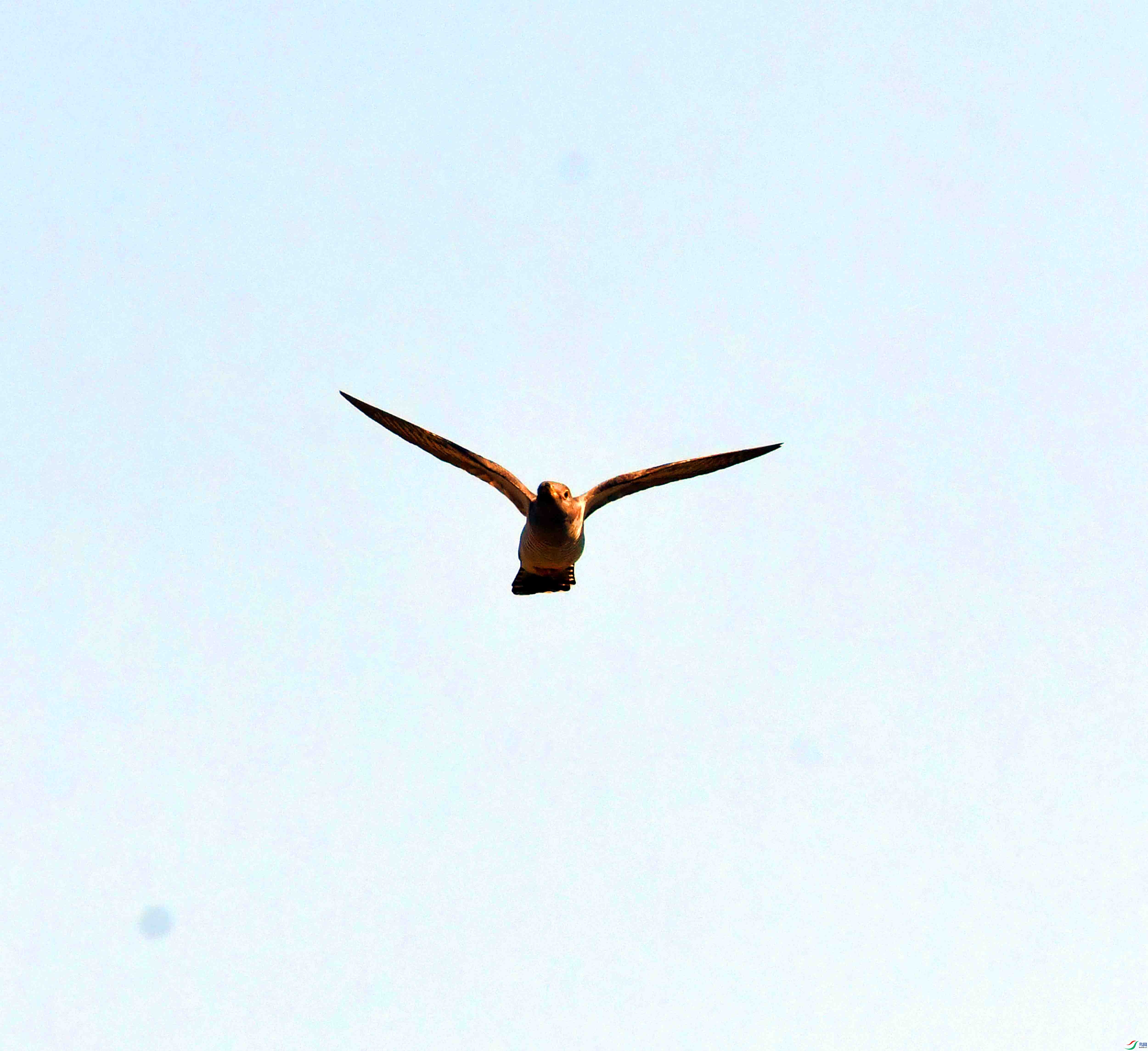 DSC_5943.JPG