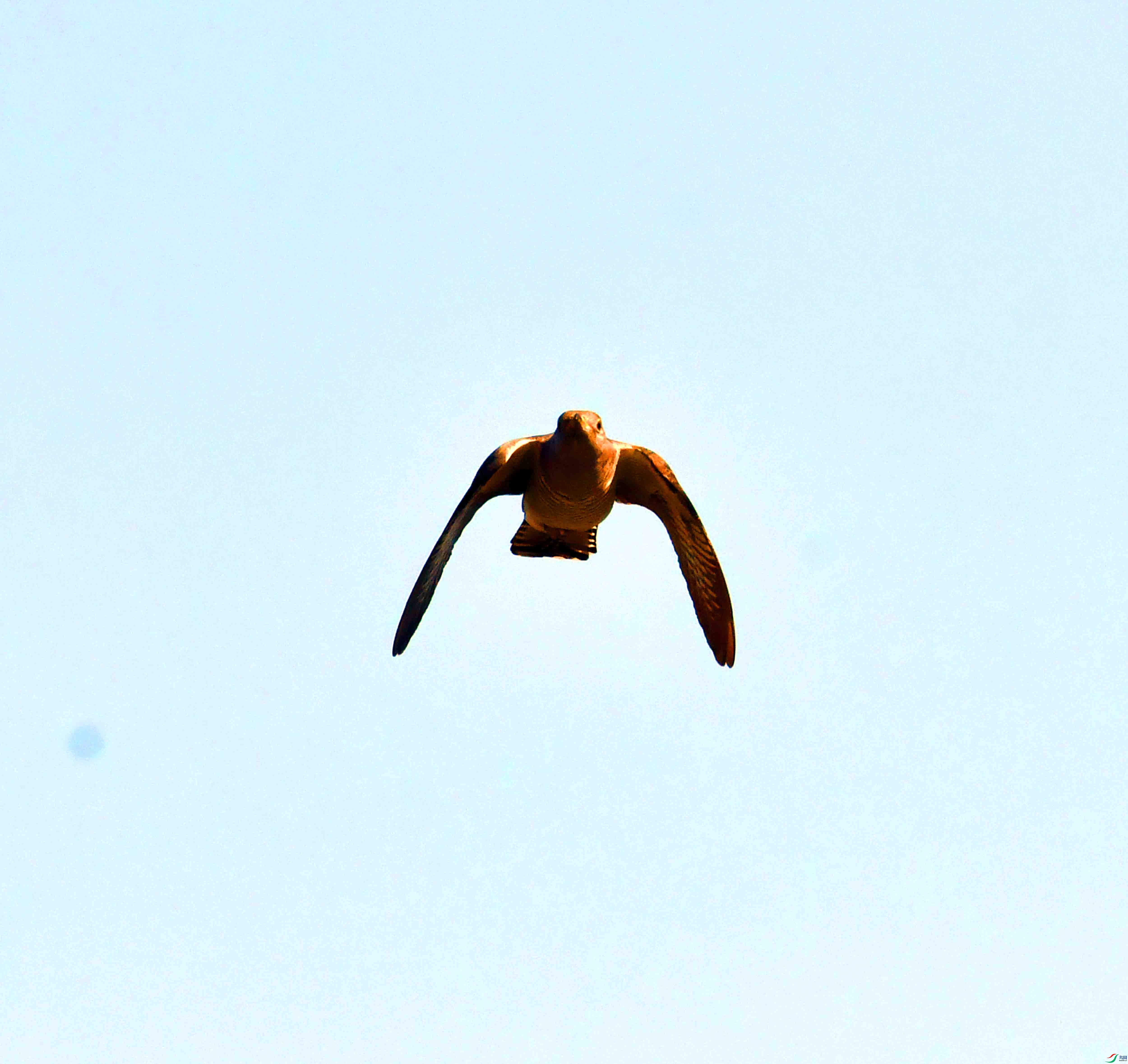DSC_5946.JPG