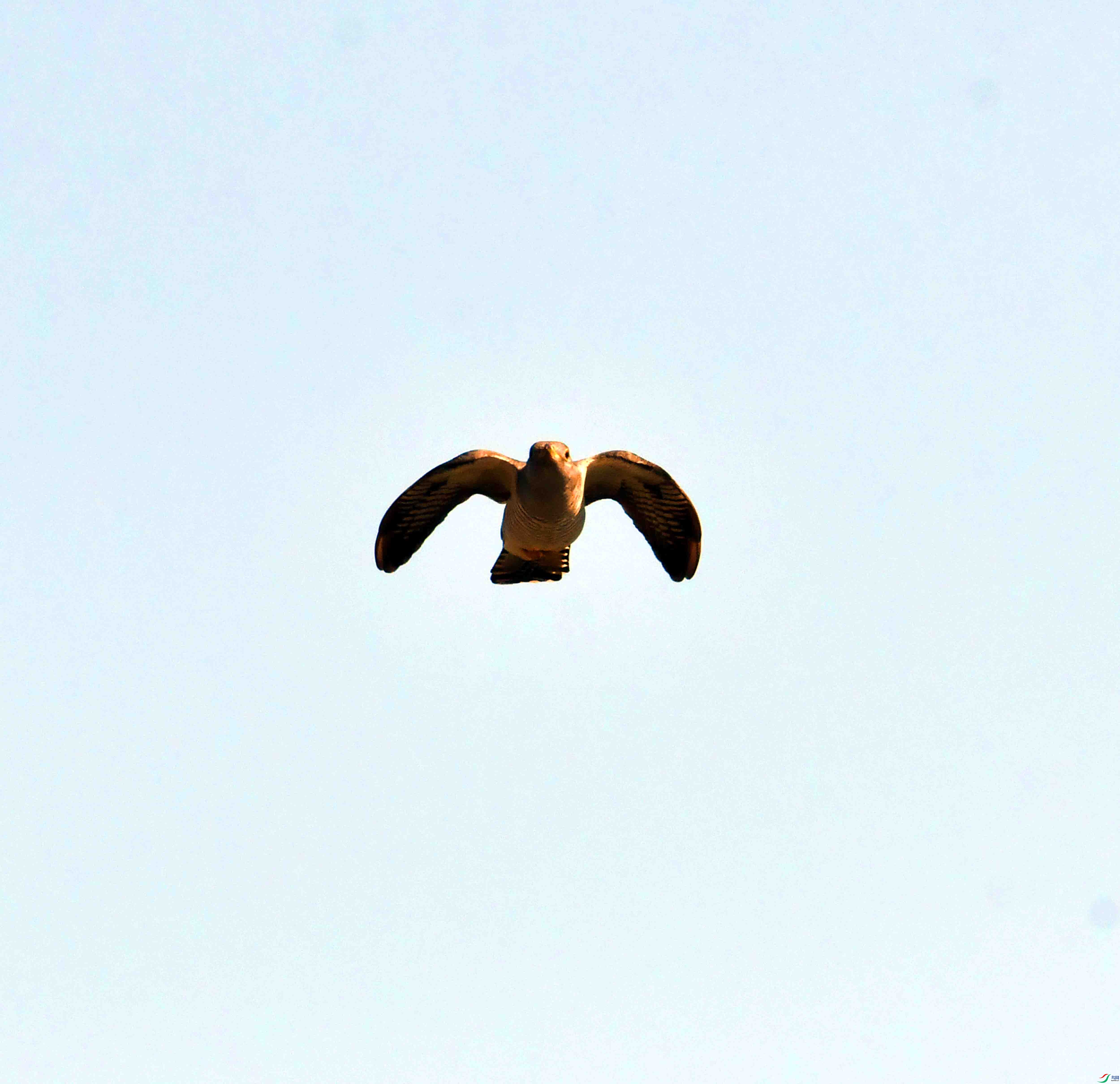 DSC_5948.JPG