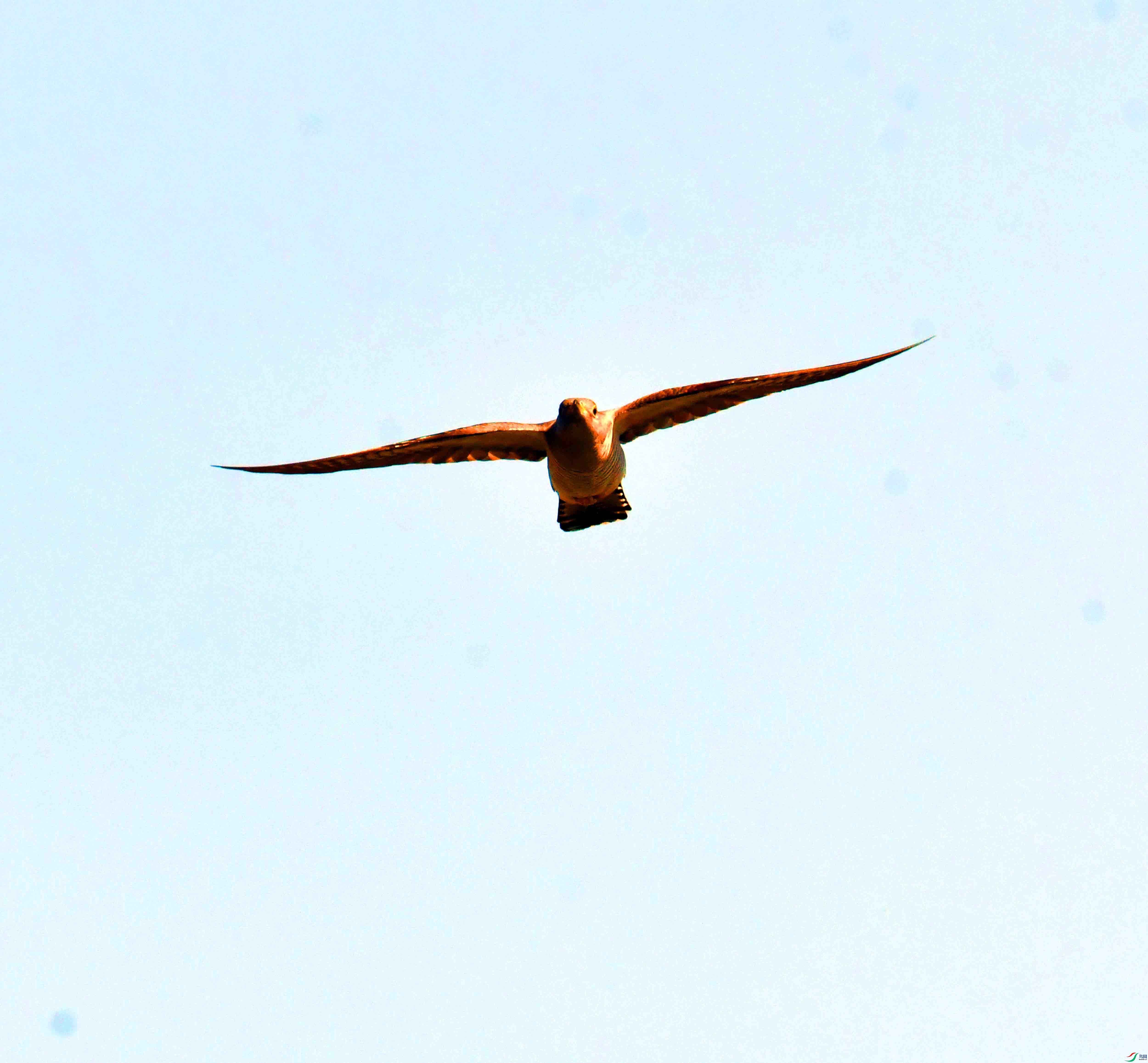 DSC_5949.JPG