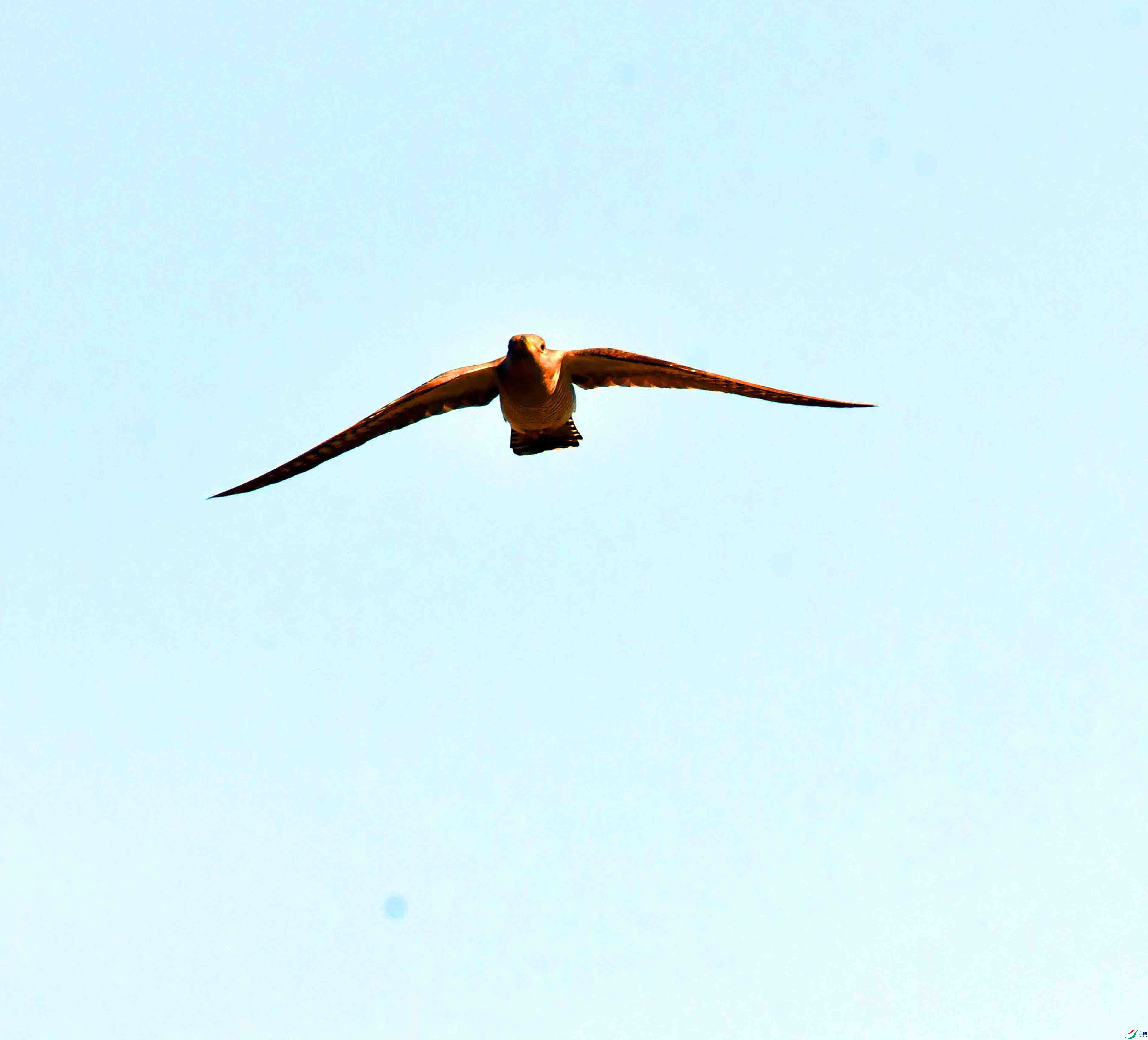 DSC_5951.JPG