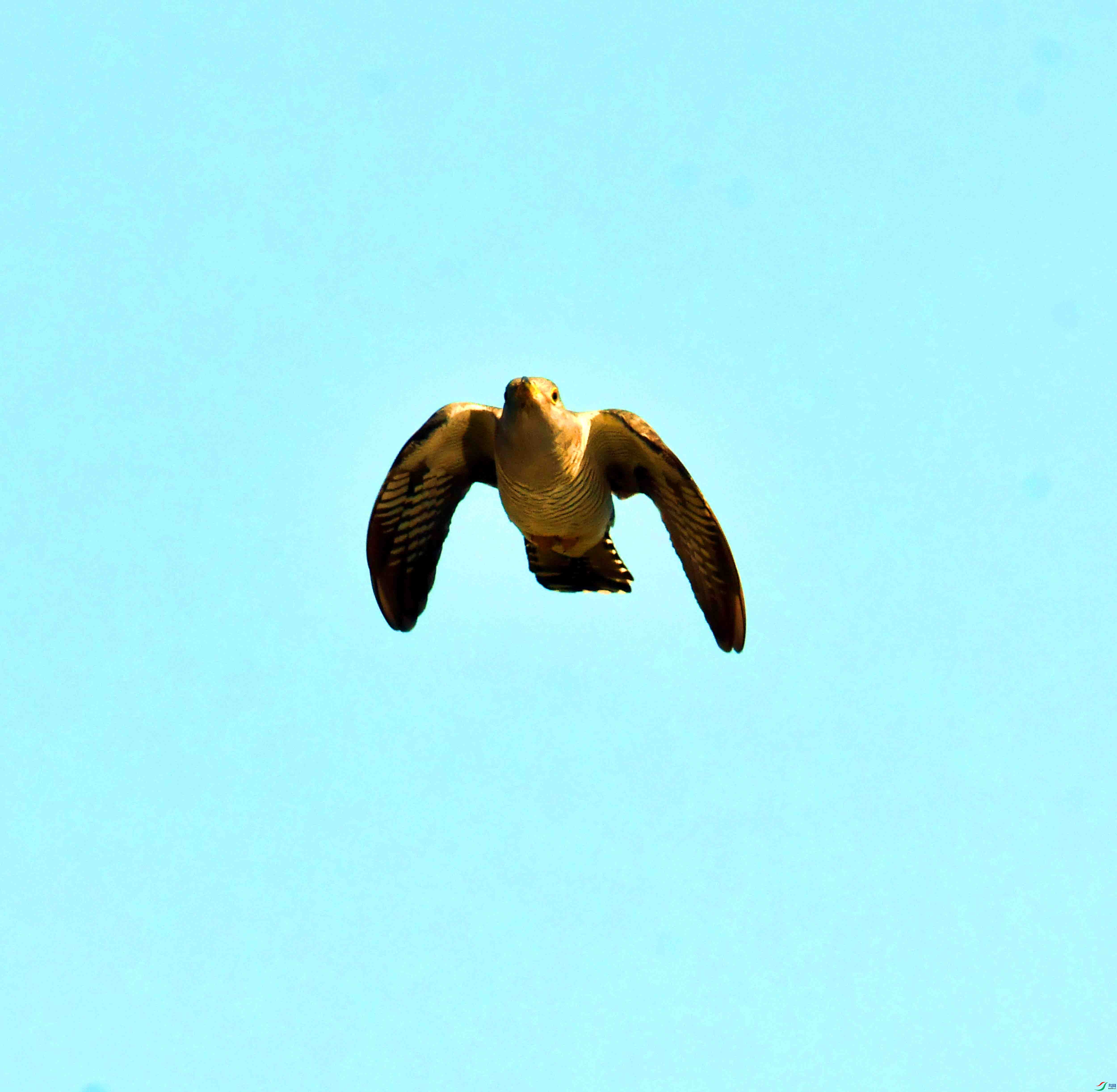 DSC_5953.JPG