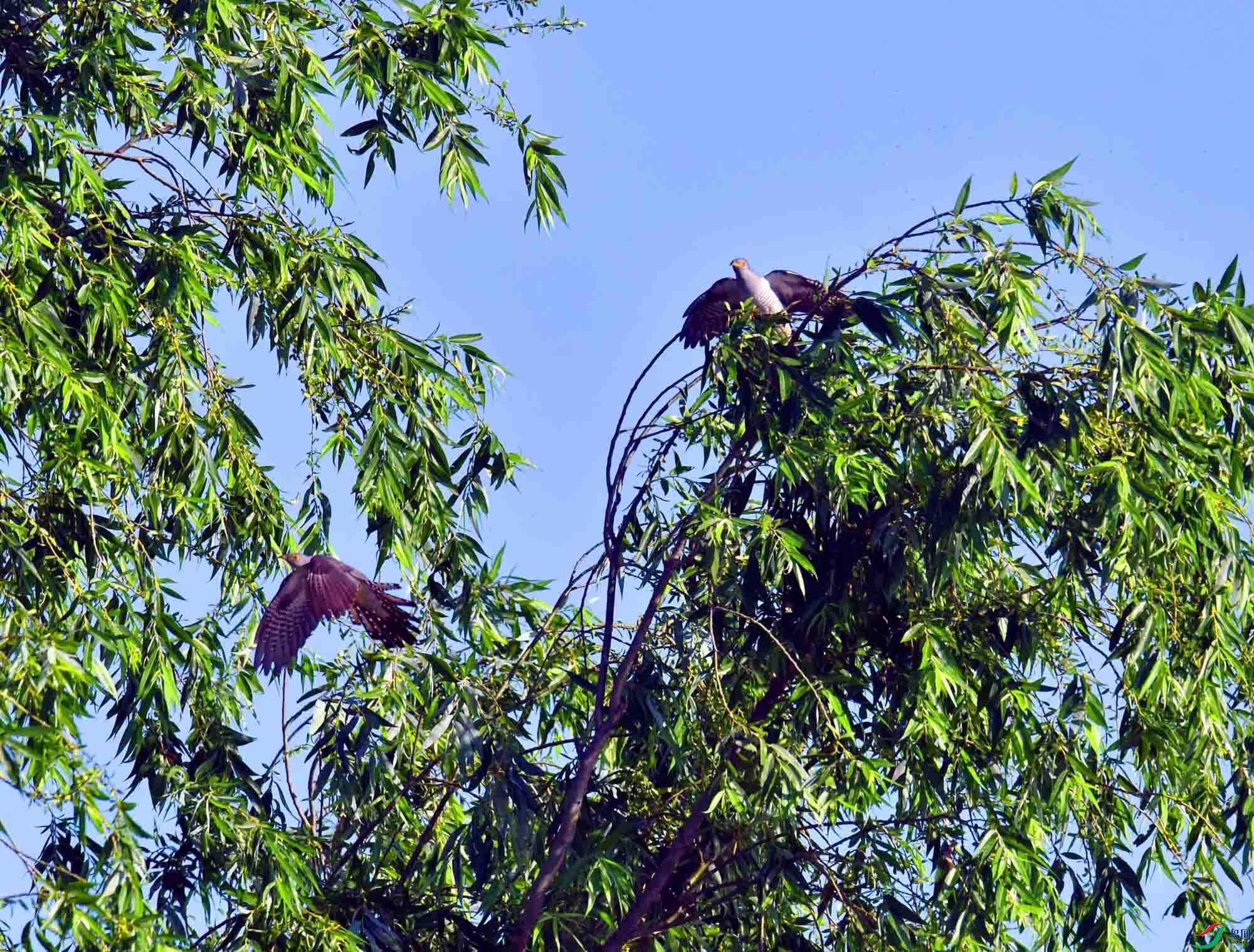 DSC_6159.JPG