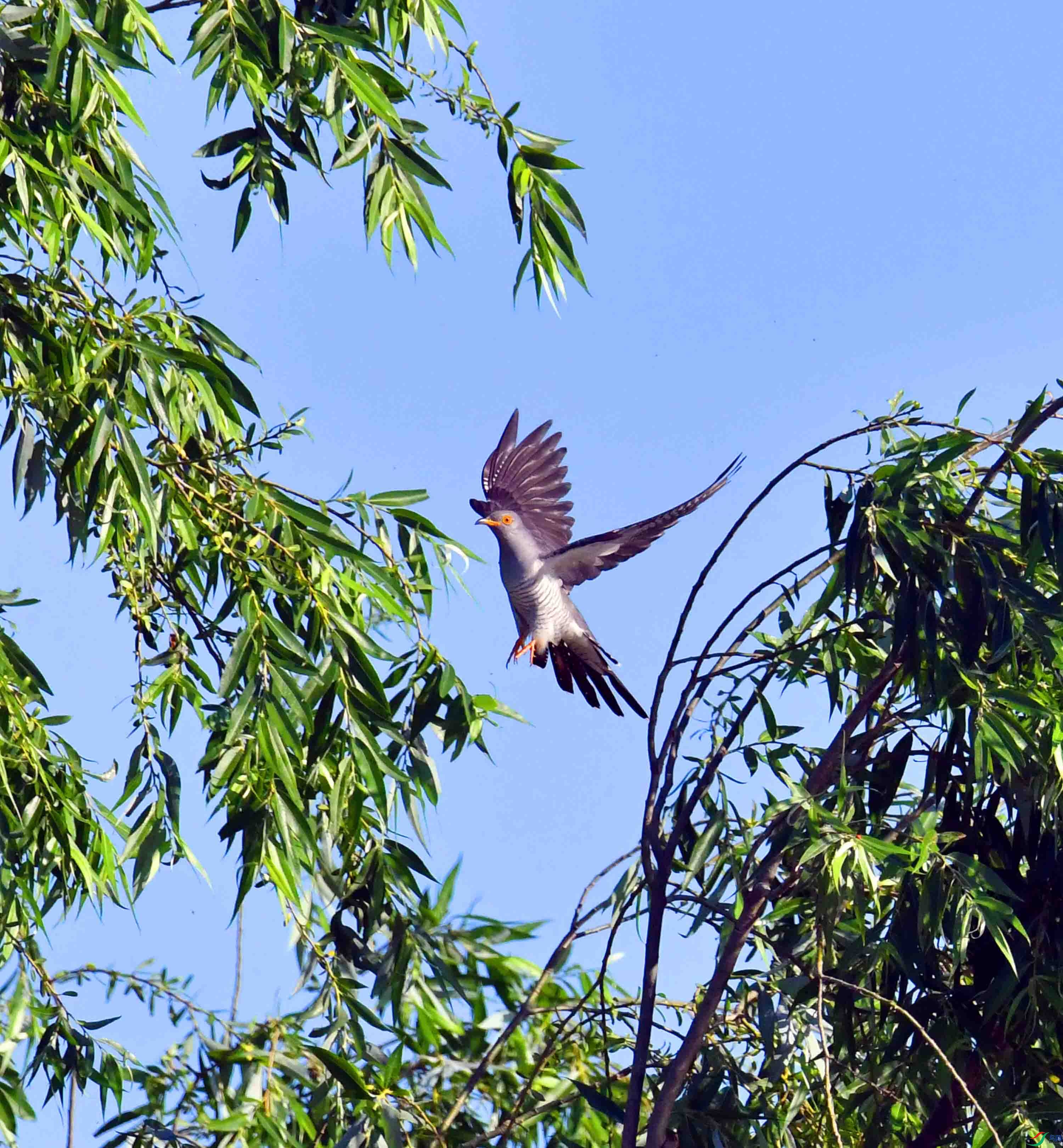 DSC_6161.JPG