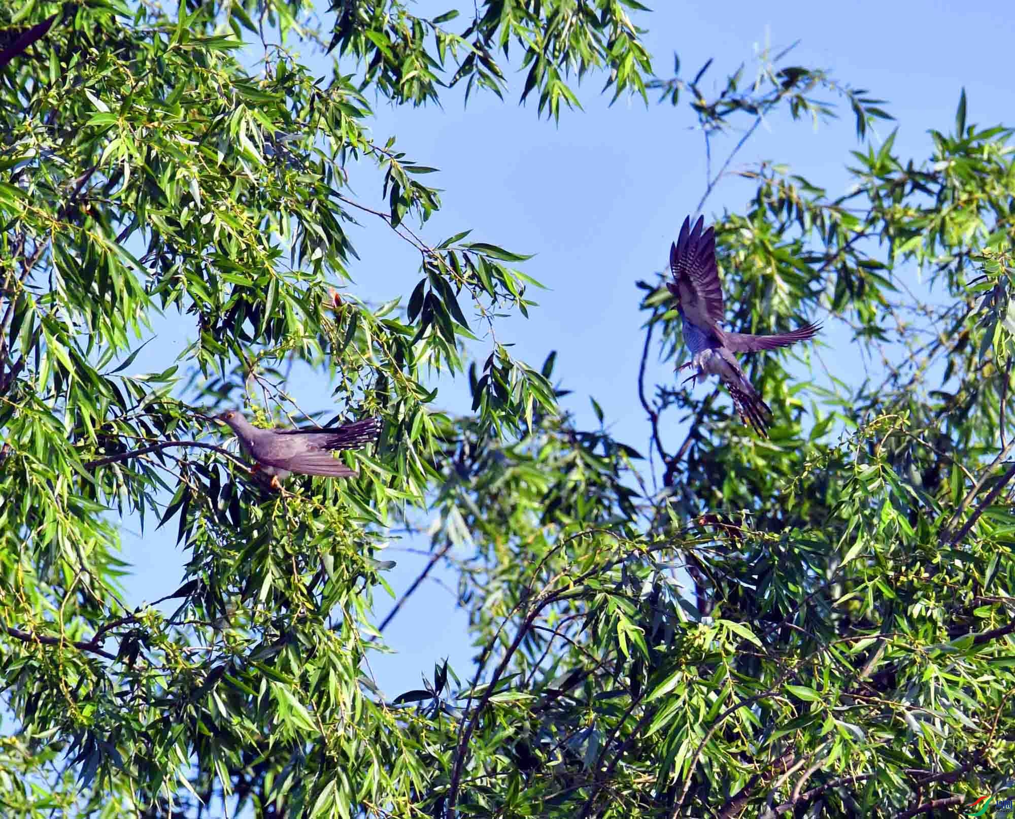 DSC_6163.JPG