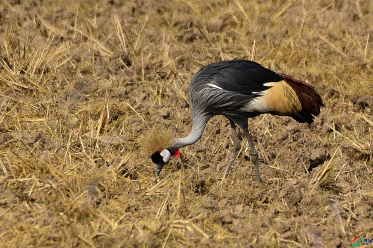 DSC_7791.JPG