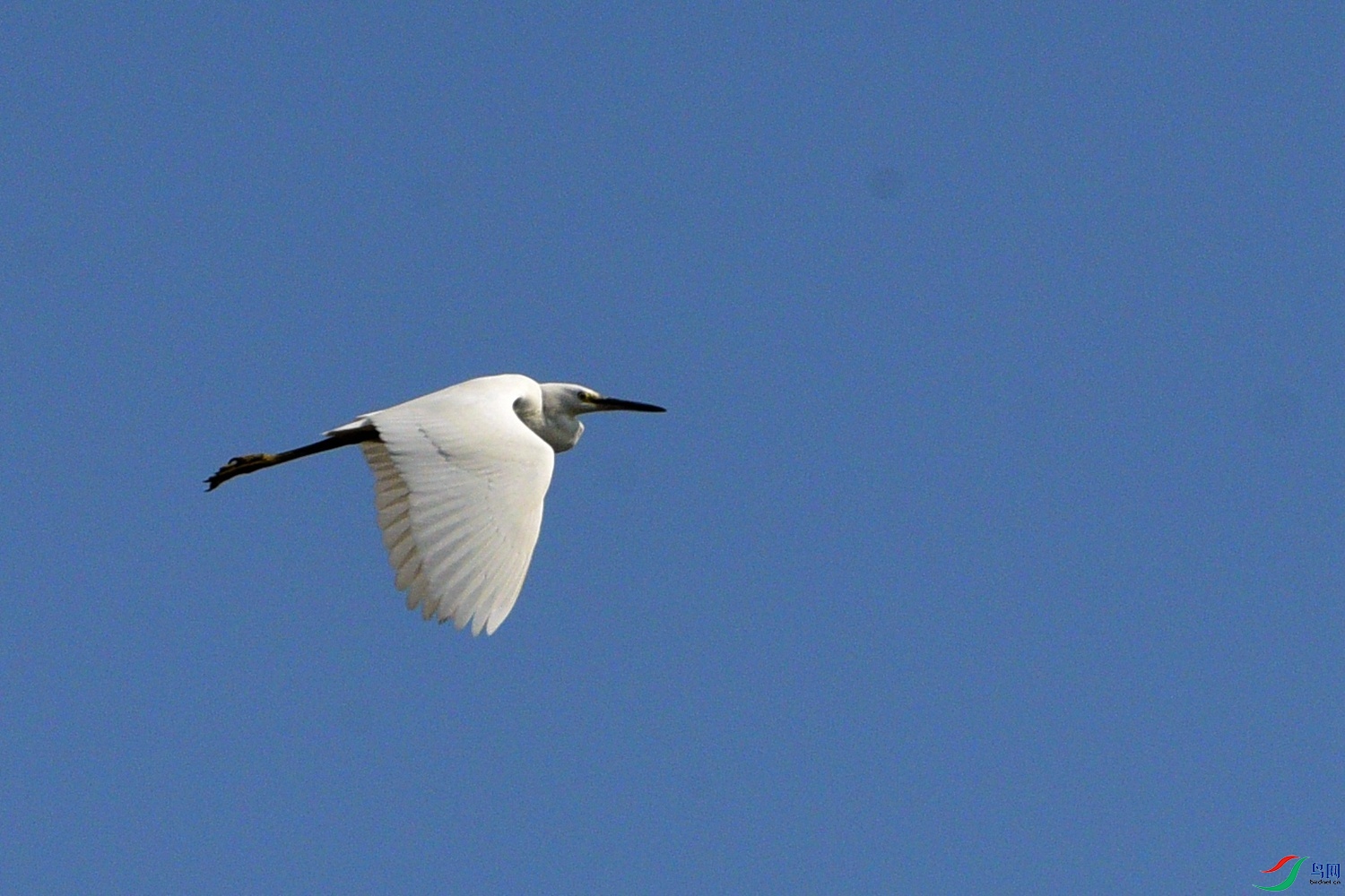 DSC_7288.JPG