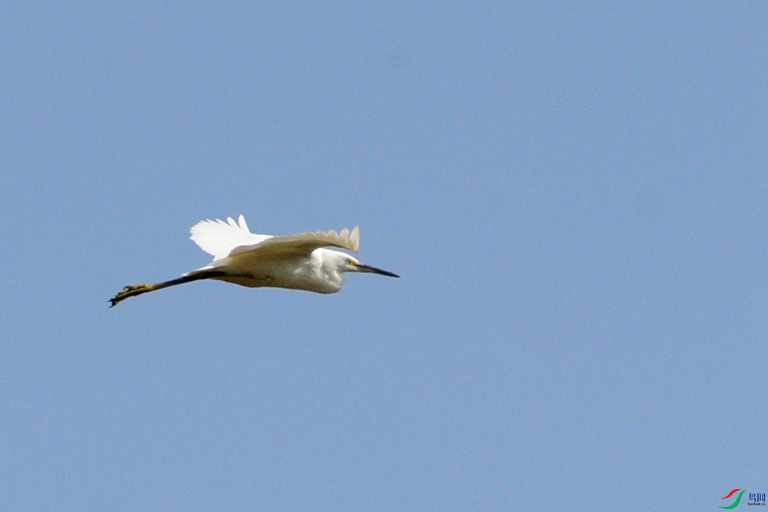 DSC_7287.JPG