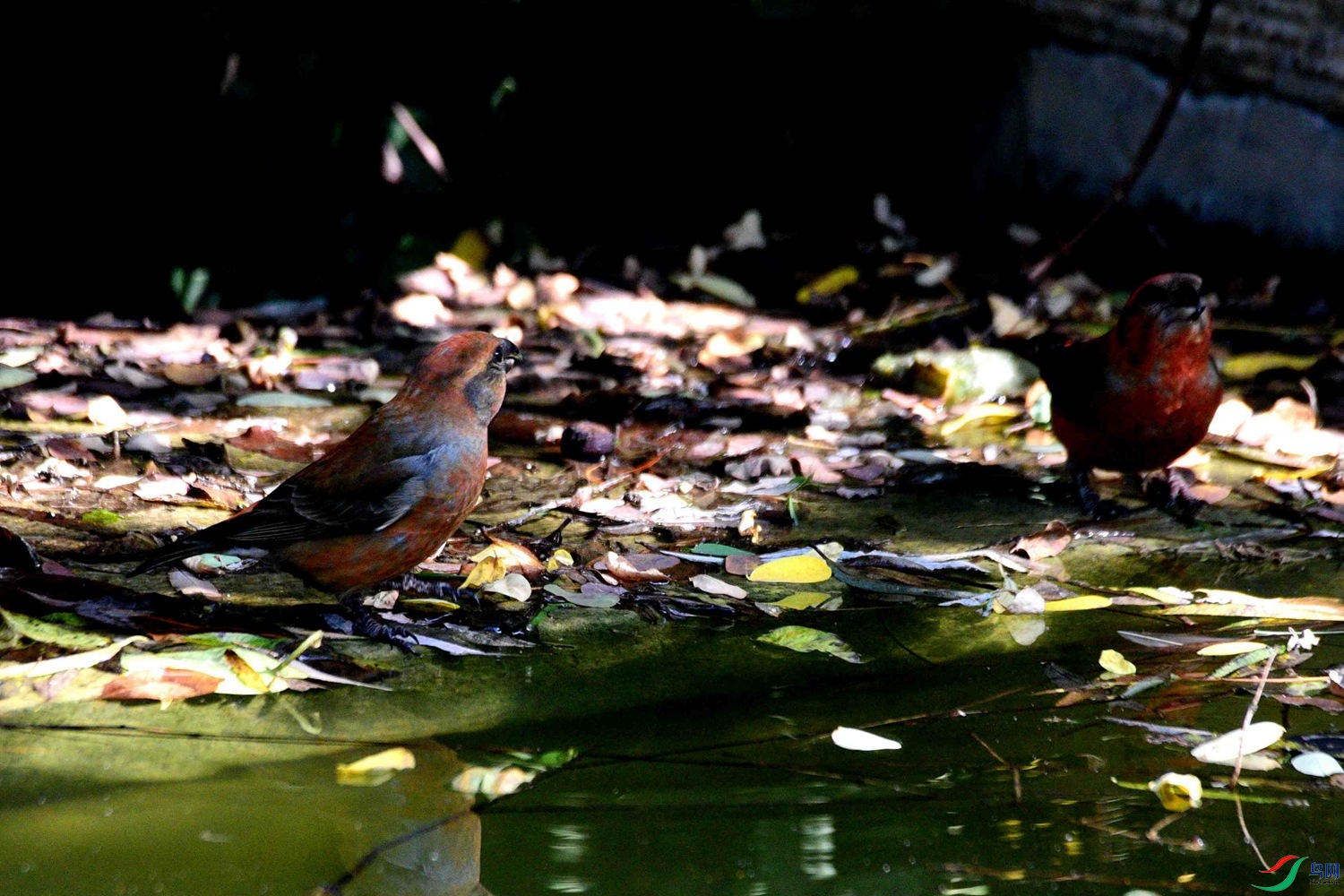 DSC_8765.JPG