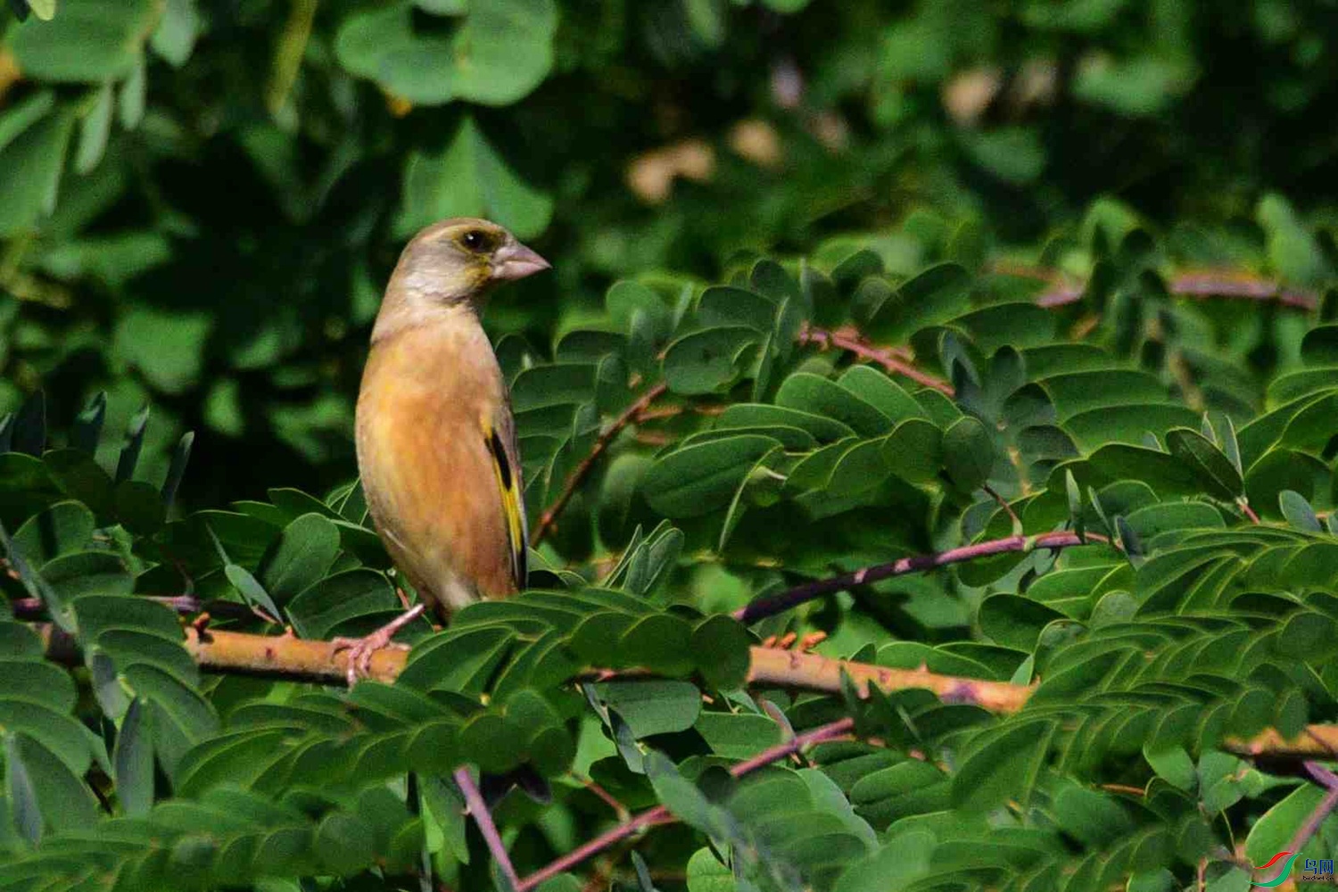 DSC_8826.JPG