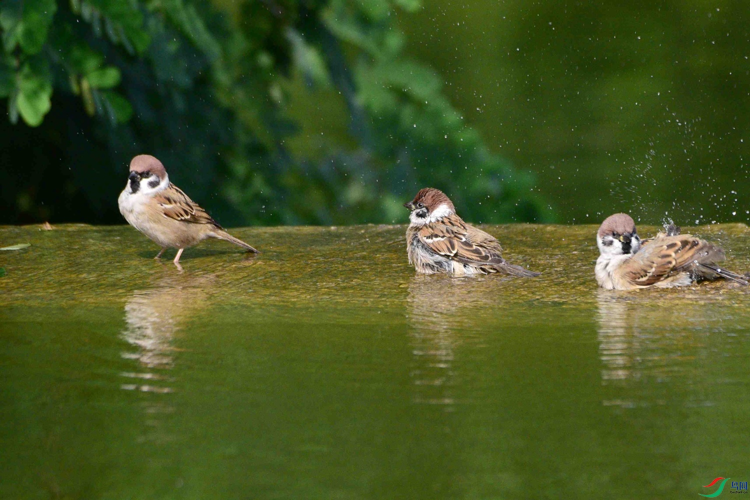 DSC_9032.JPG