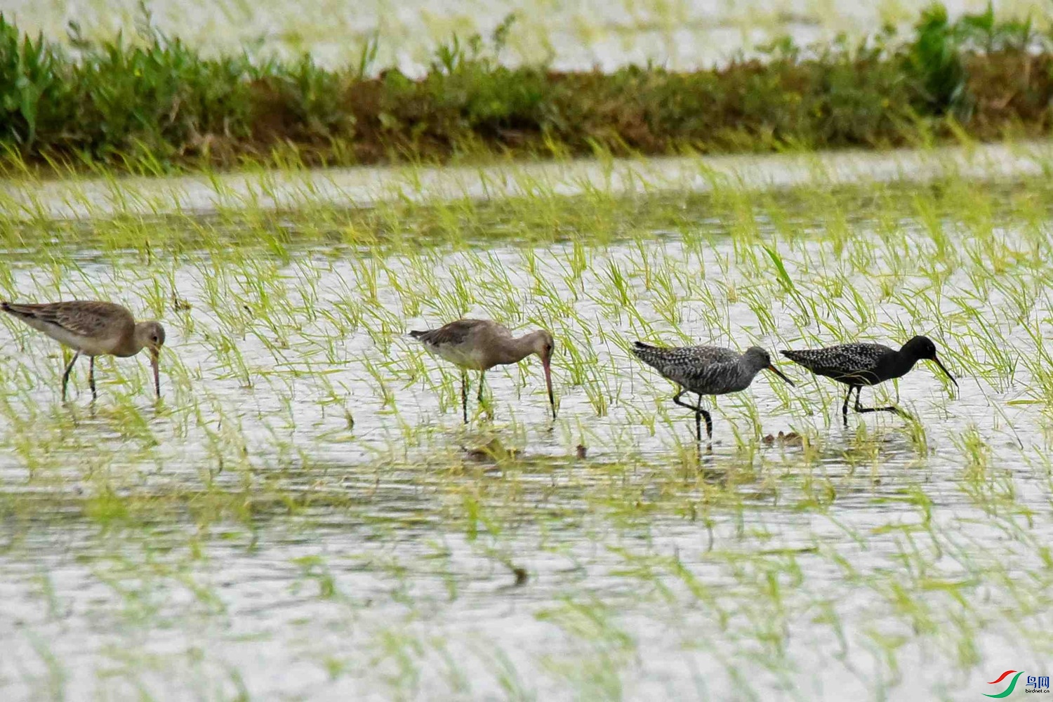 DSC_7644.JPG