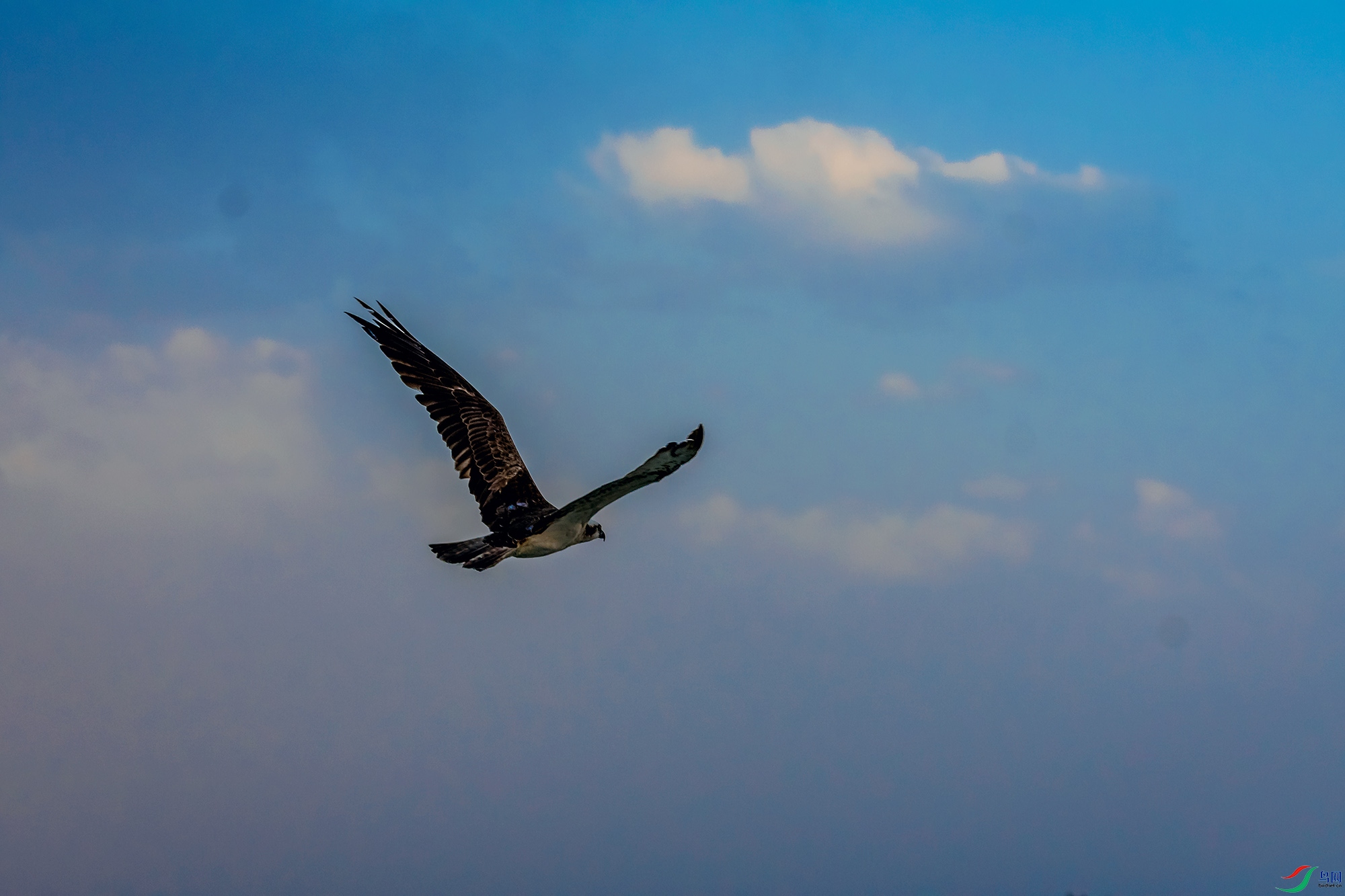 _DSC3703.jpg