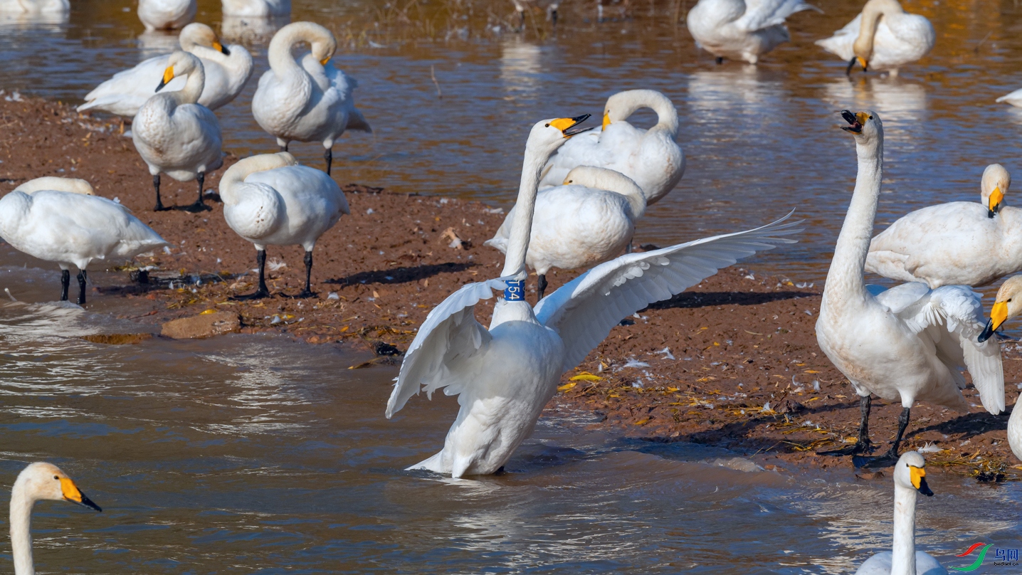 DSC_3823_DxOa.jpg