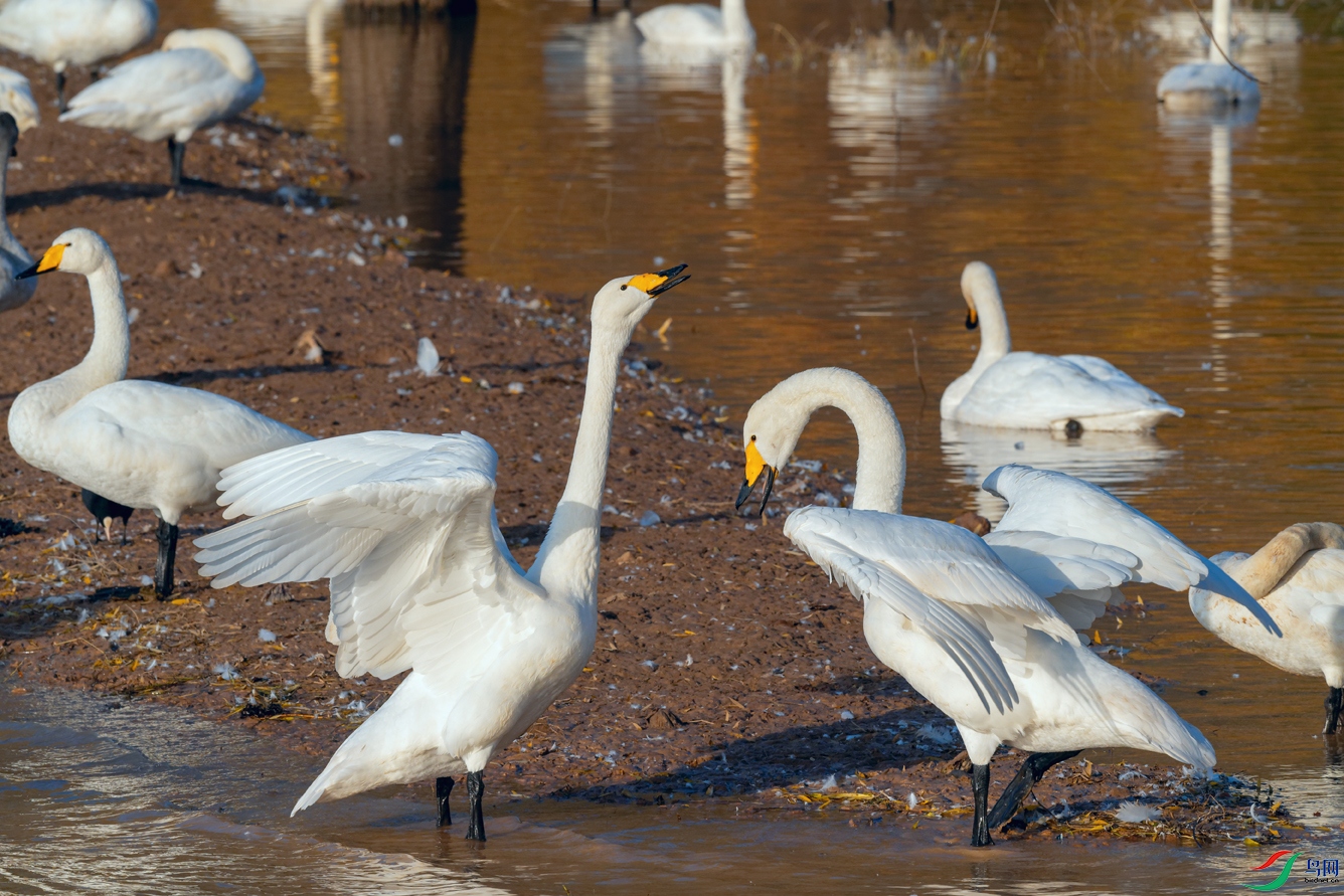 DSC_3228_DxOa.jpg