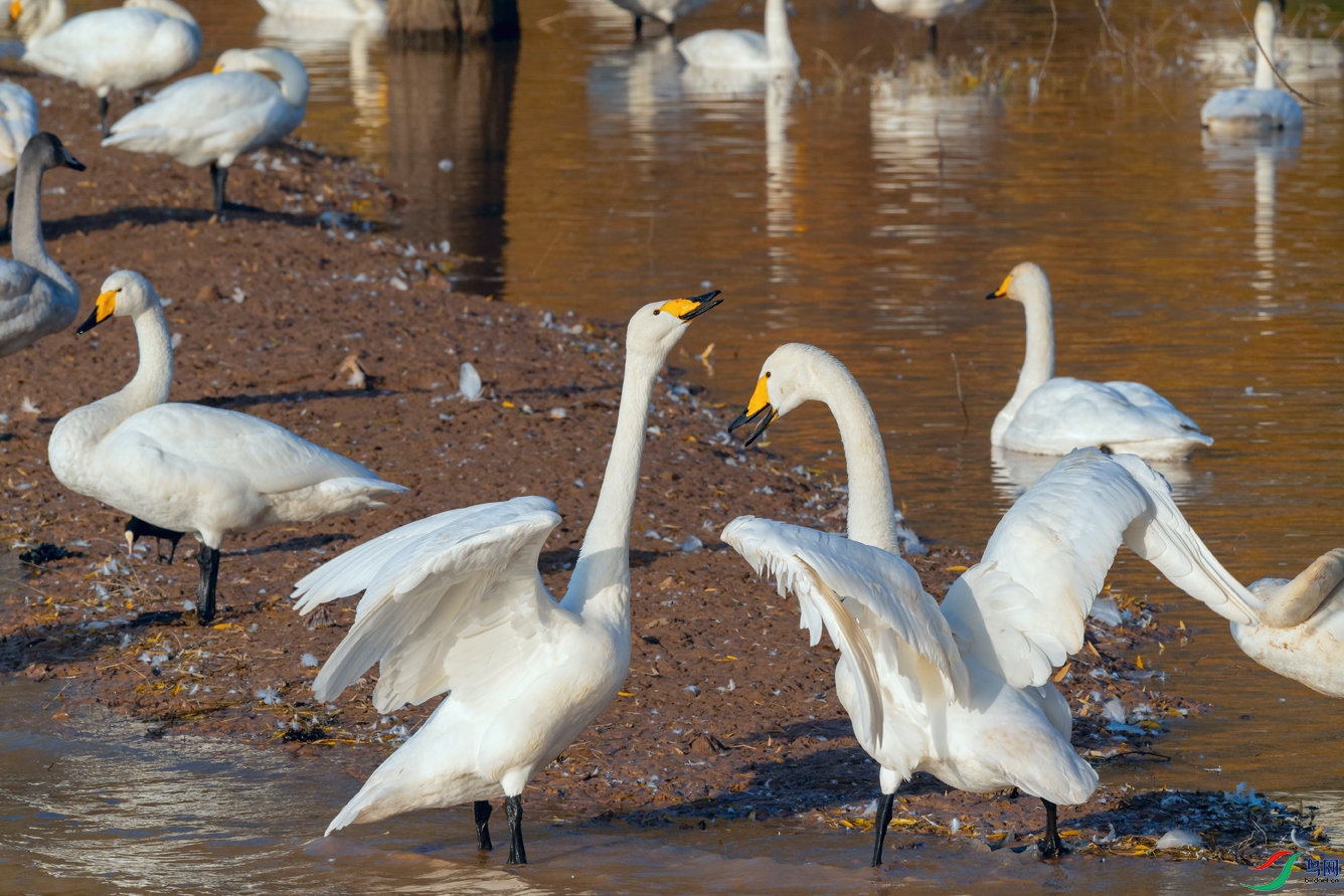 DSC_3221_DxOa.jpg