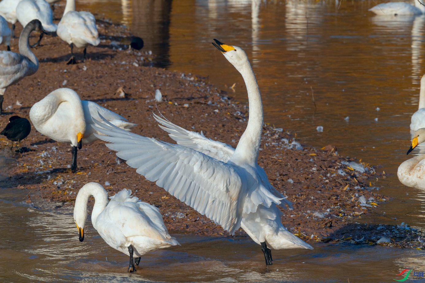 DSC_3208_DxOa.jpg