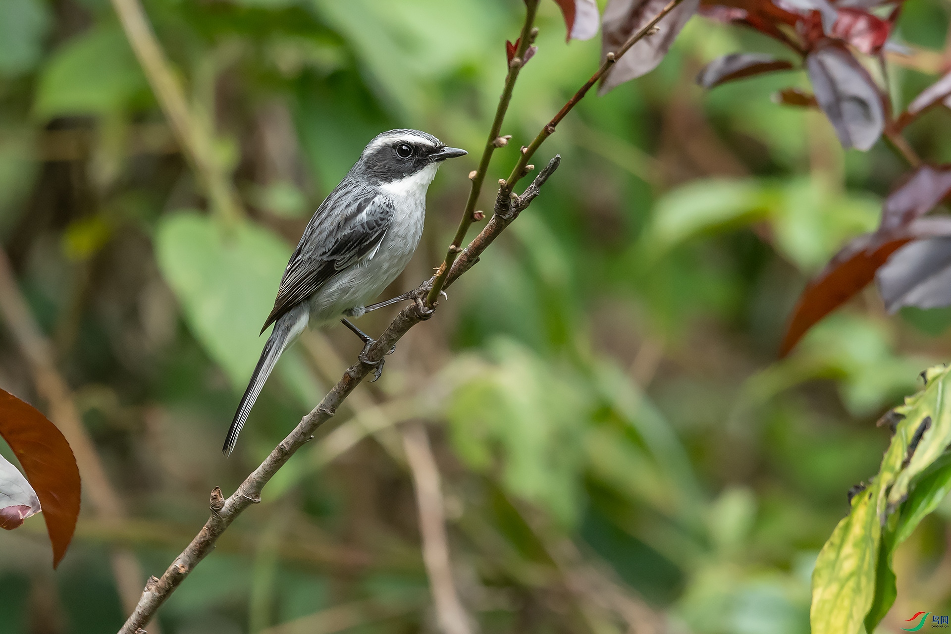DSC_4575.jpg