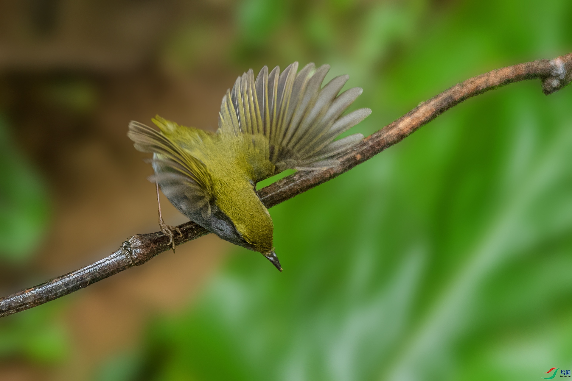 DSC_9871.jpg