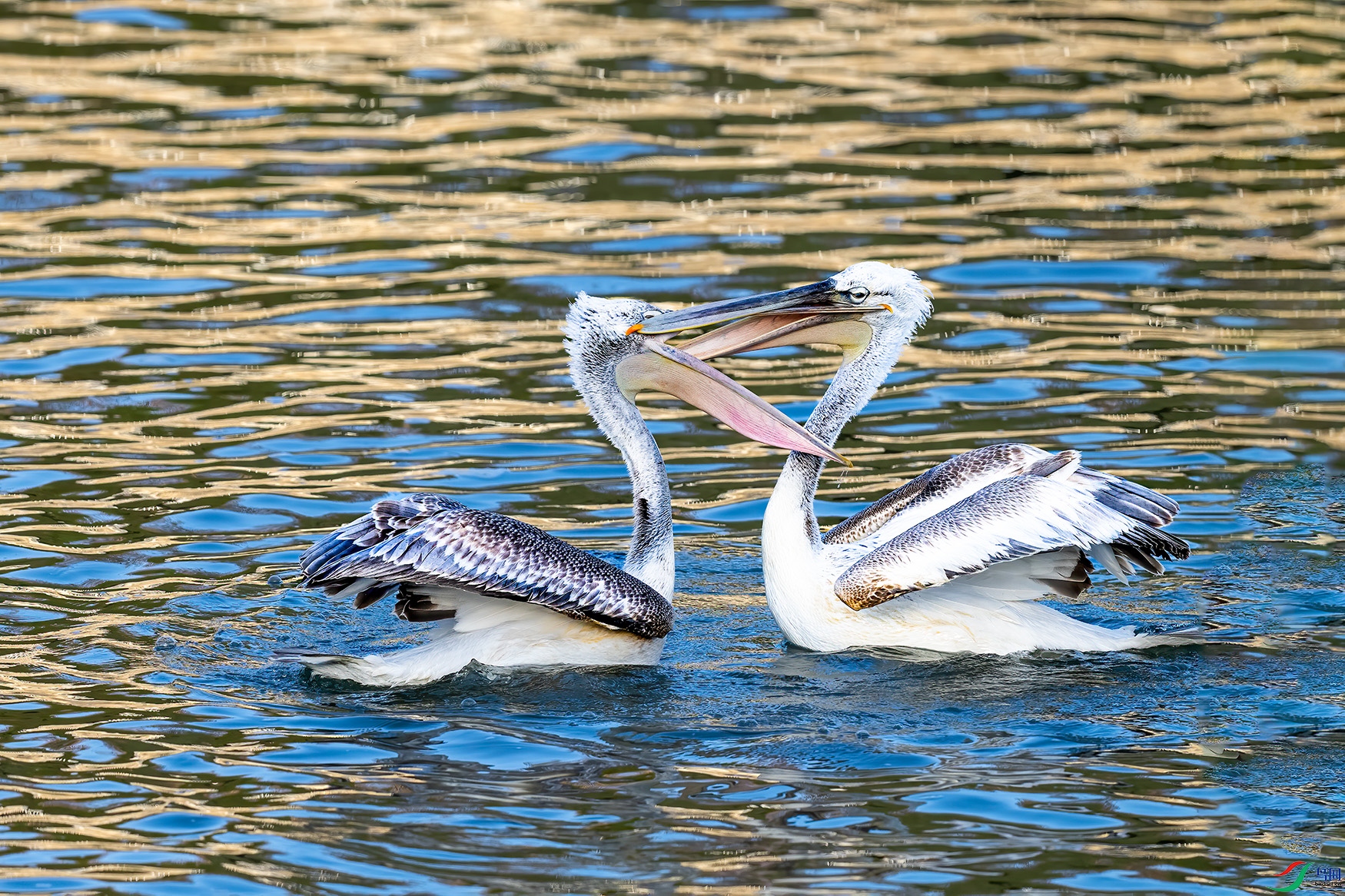DSC_0405.jpg