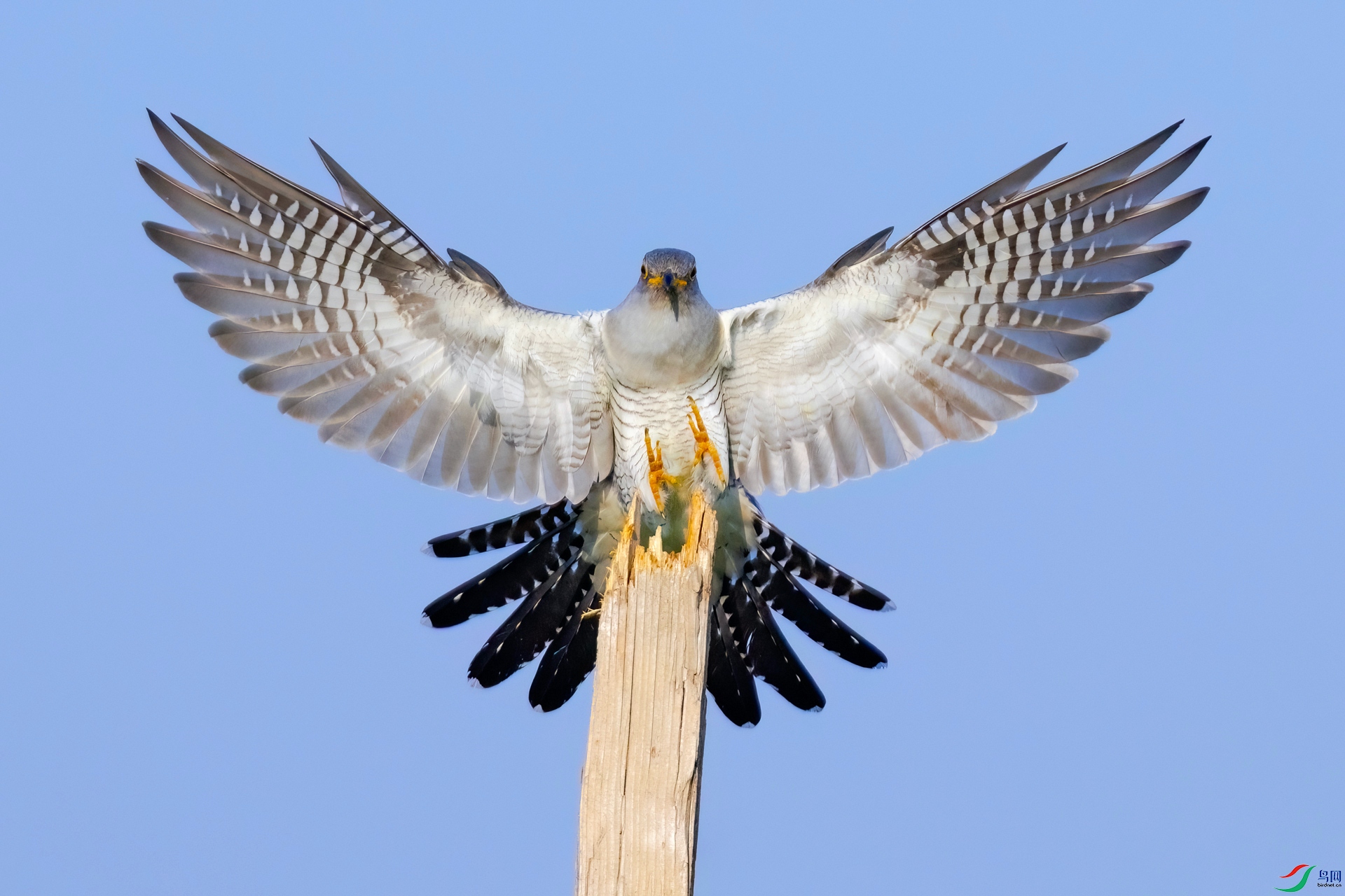 183A2849.jpg