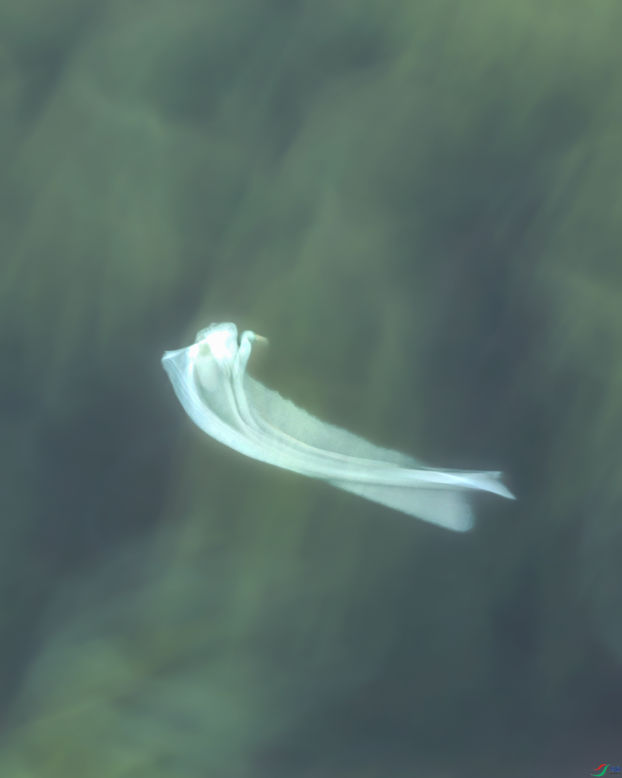 673A8747.JPG