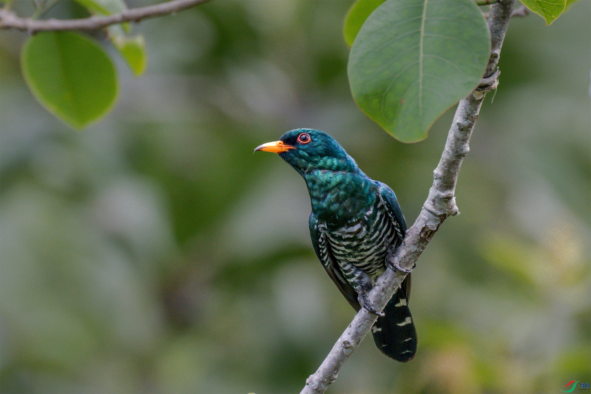 DSC_3316-1.jpg
