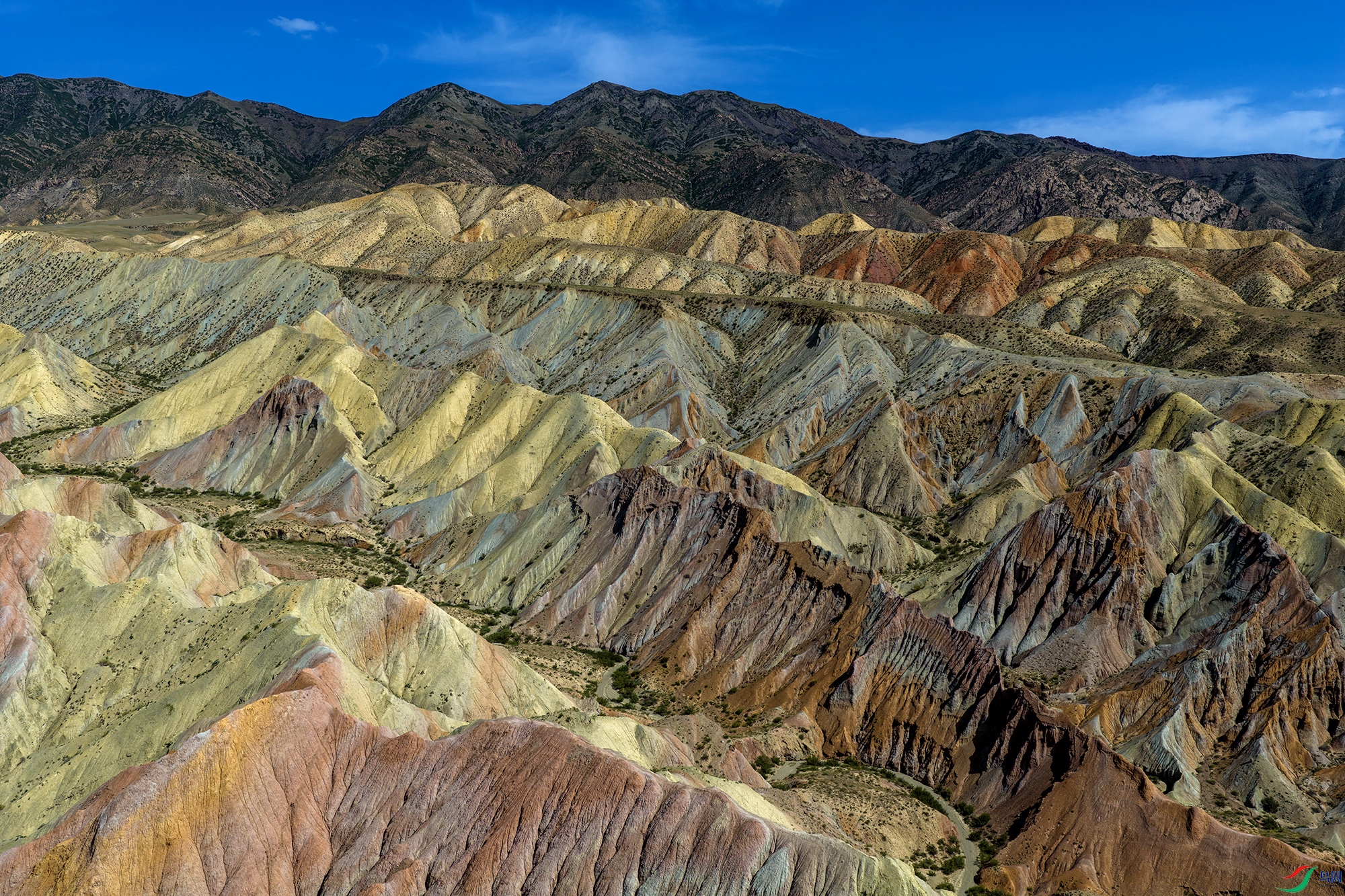 DJI_20260614112119_0025_D-1a.jpg