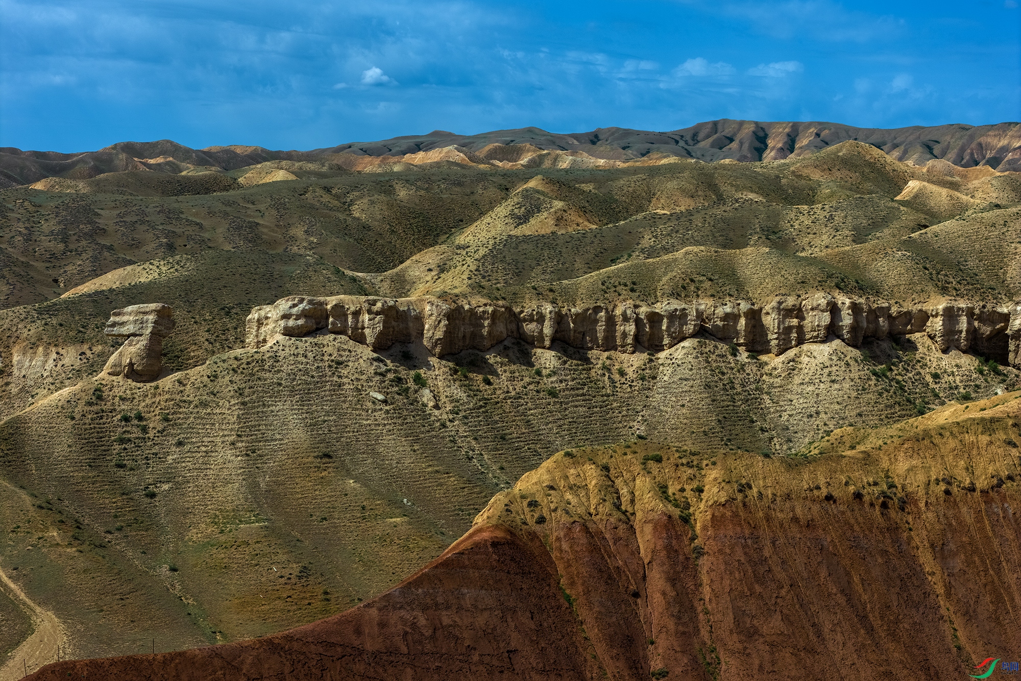 DJI_20260614114118_0060_D-1a.jpg