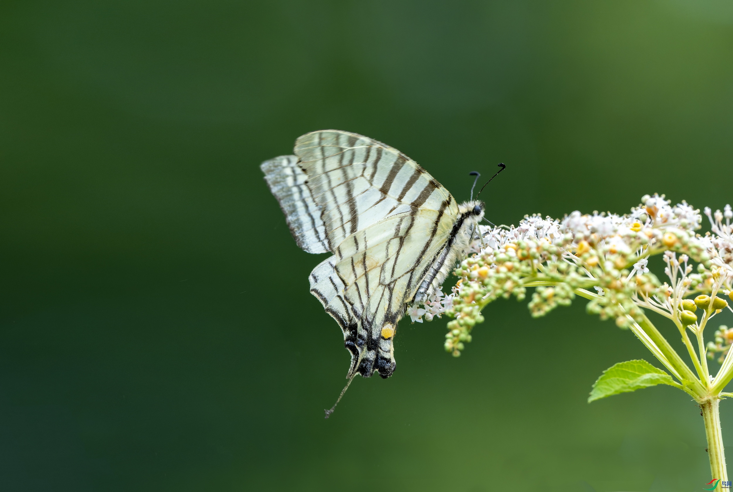 ���콣��� (107)-01.jpg