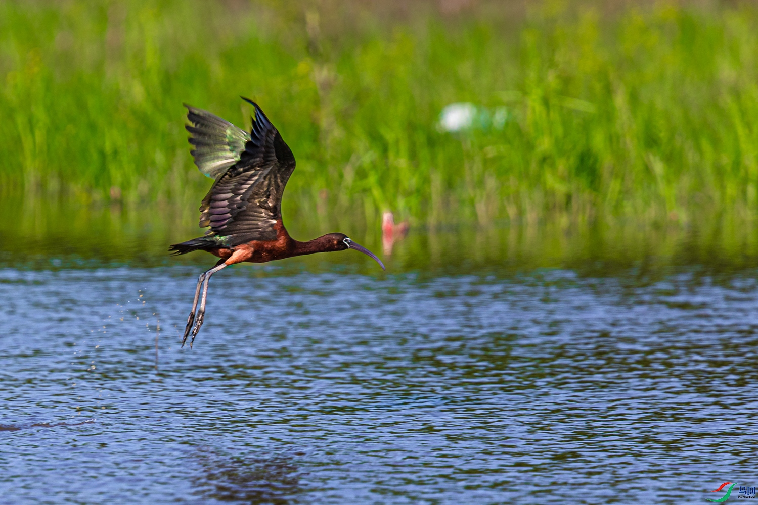 _P4A8191.jpg