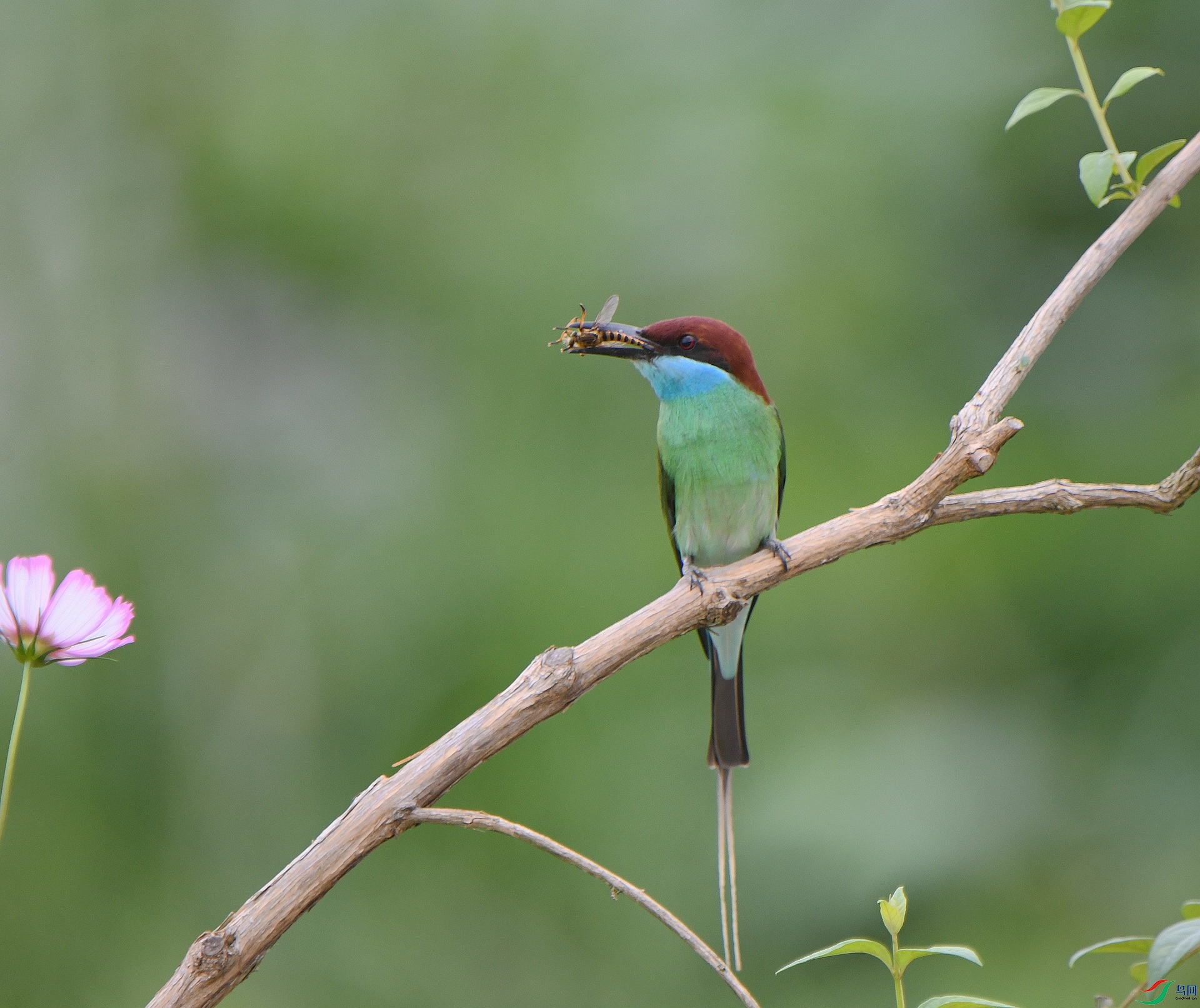 DSC_5555.jpg
