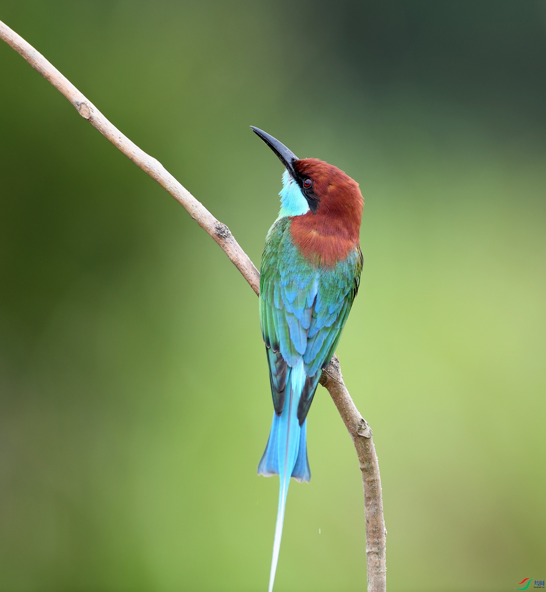 DSC_7021.jpg